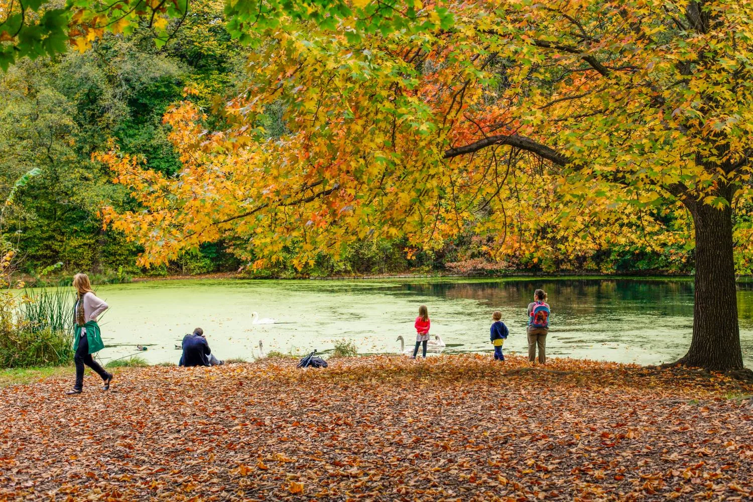 In Praise of Laziness: Finding Joy in a Sea of Anxiety