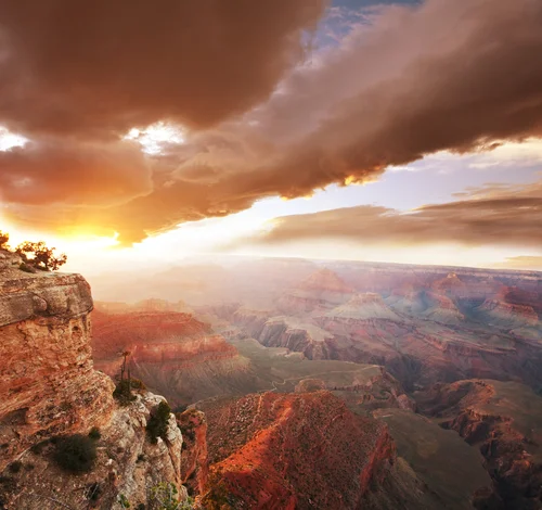 Recapturing The Feeling of Awe For Life: Using Art To Appreciate Existence 
