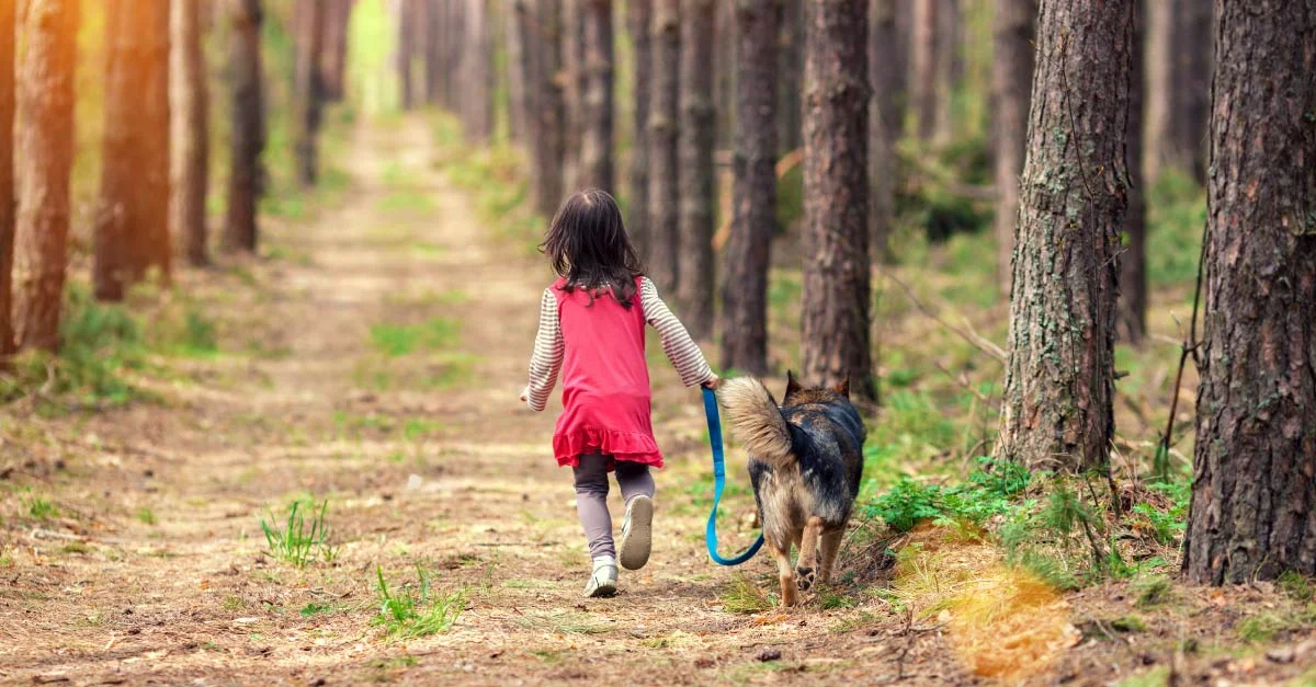The Perils Of Love and Pets