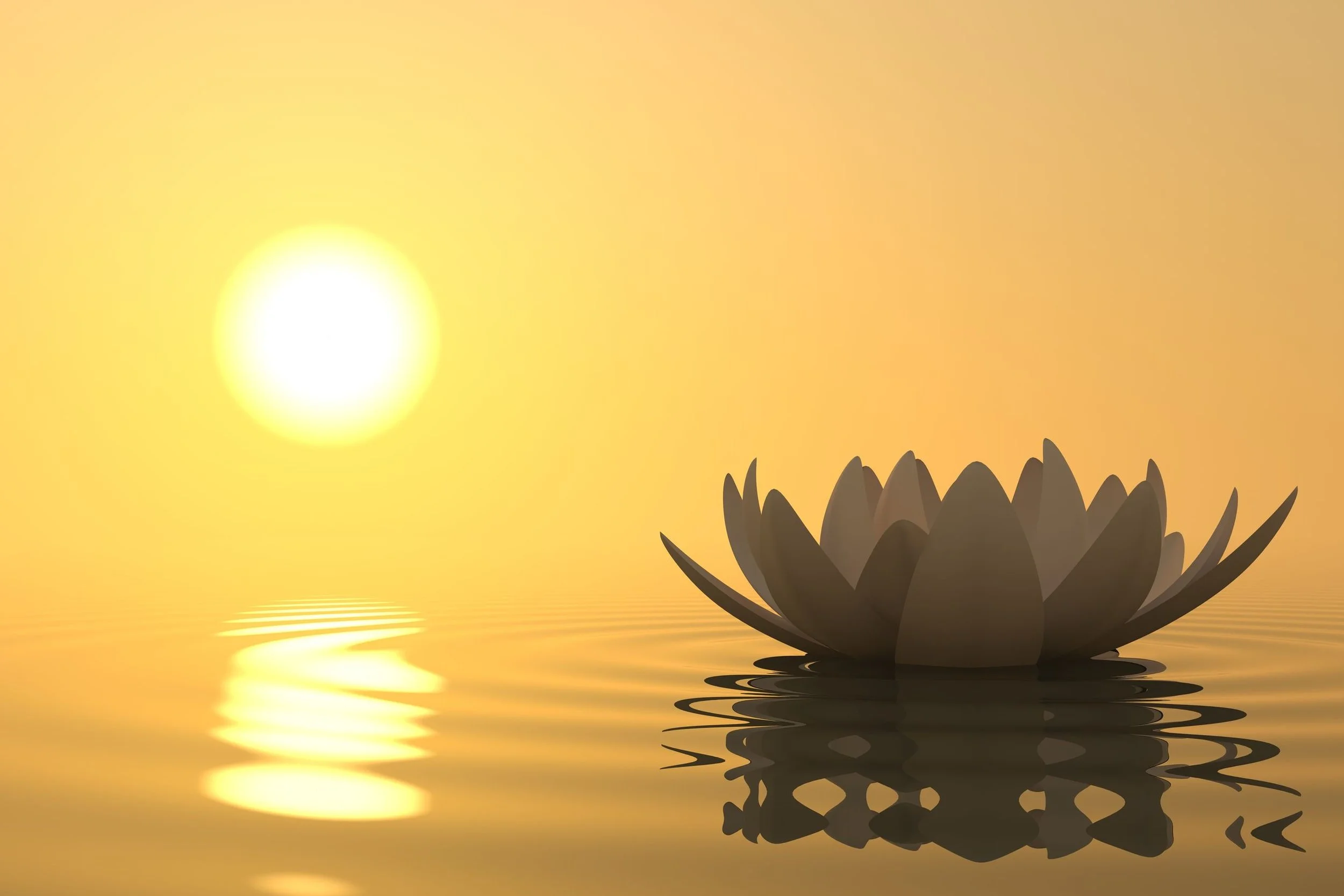 The Wisdom Of The Body