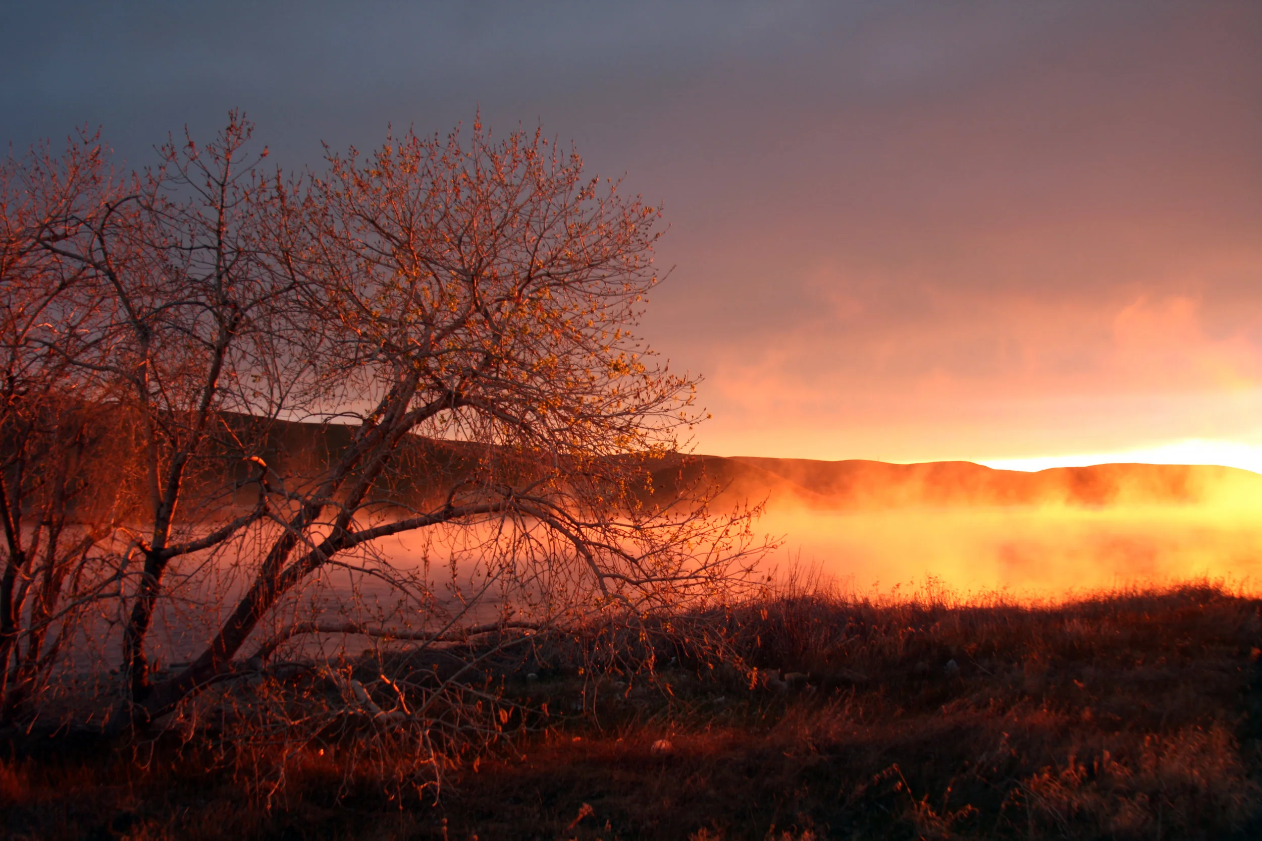The Status Quo Is Not Good Enough: A Philosophy Of Grace
