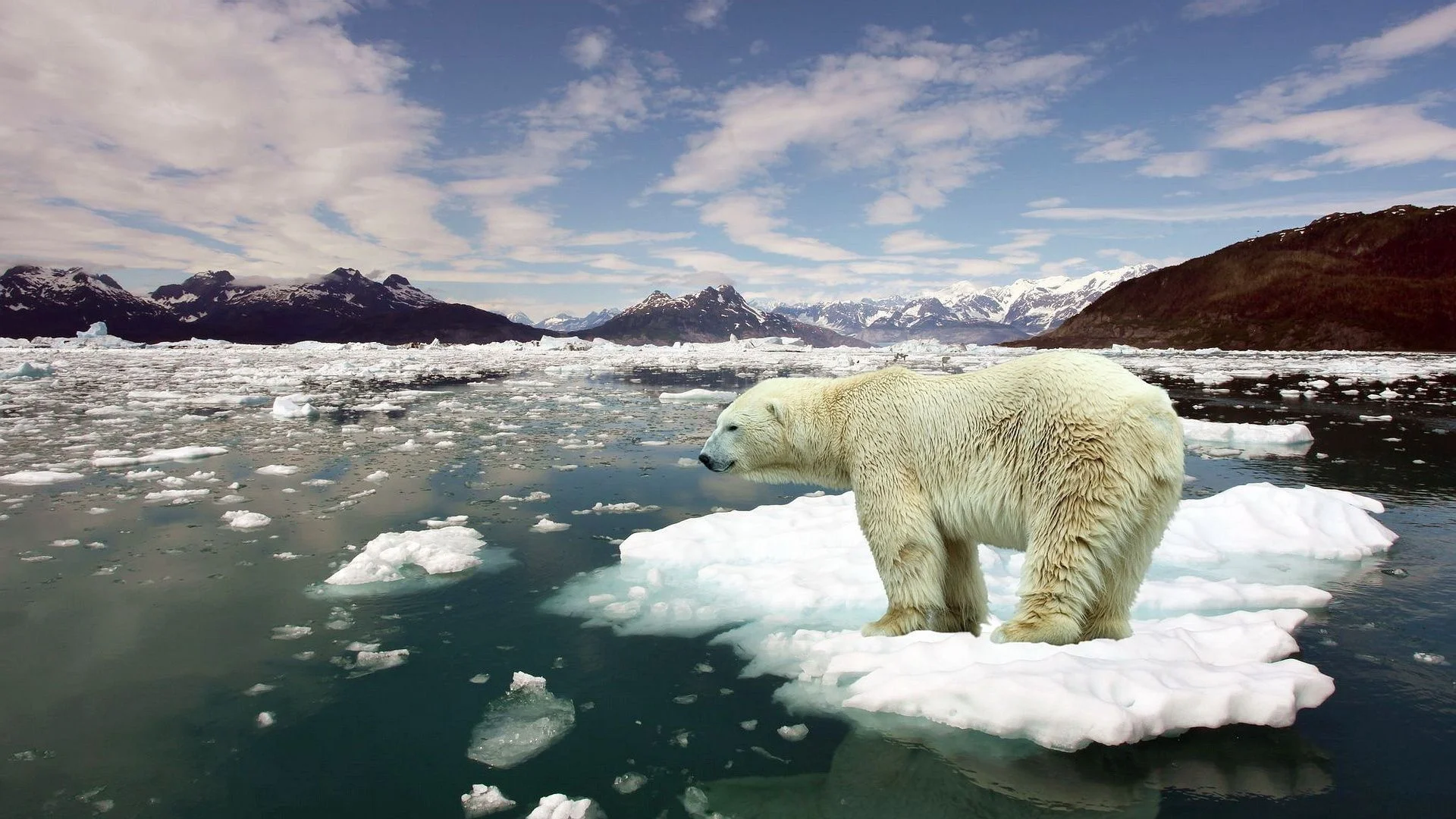 15 Current Facts And Possible Futures Regarding Climate Change, Which Should Terrify You 