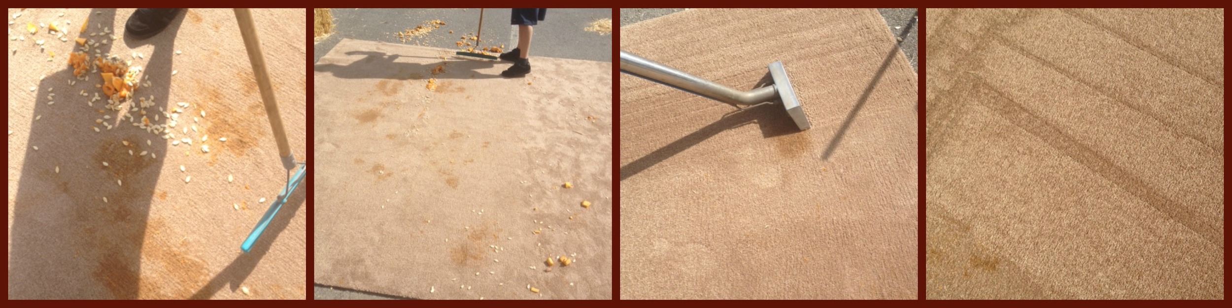 Close-up we can see why Dave of Steam Away was a bit skeptical. What a mess! Give it up for Mohawk SmartStrand Forever Clean Carpets - Winner and still champion. We're happy, Team Steam Away is happy and the pumpkin carver's parents are very happy too. Notice the leftover stain in the last photo? We left it for comparison - a keepsake of sorts. After the daring day, we spoke with our carpet cleaning pro, Dave Vance: "I was skeptical about it cleaning up, but it did. I use a hot water extraction method and i would recommend this carpet...." There was talk from our parents about cleaning up wine stains, hmmmmmmmmmm, looks like another challenge may be in the works - maybe our annual Meet The Experts will be a great setting for wine on carpets. We just hope Steam Away will be available. Contact Steam Away Carpet Cleaning at 237-9958.