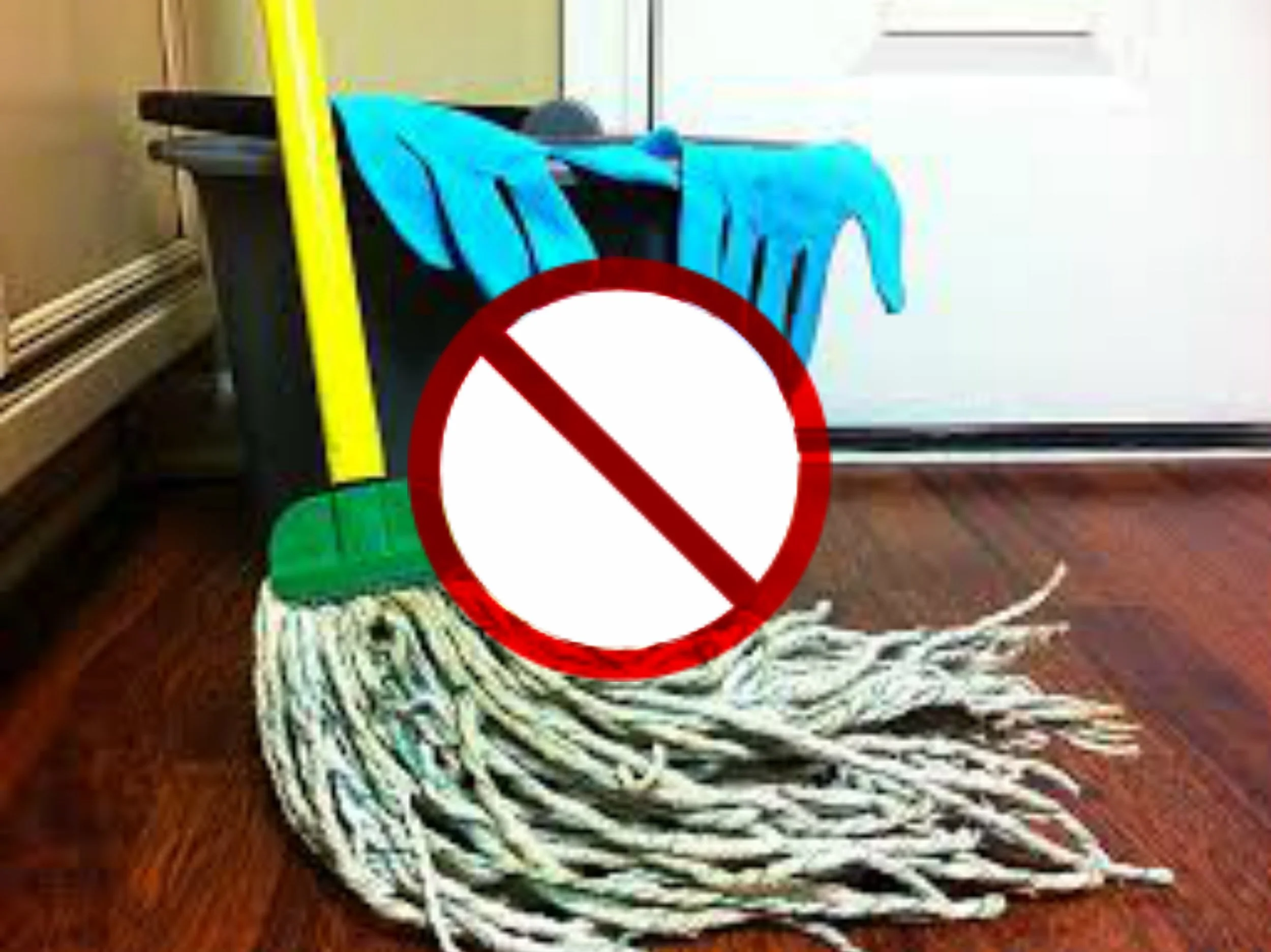 blog clean mop.jpg
