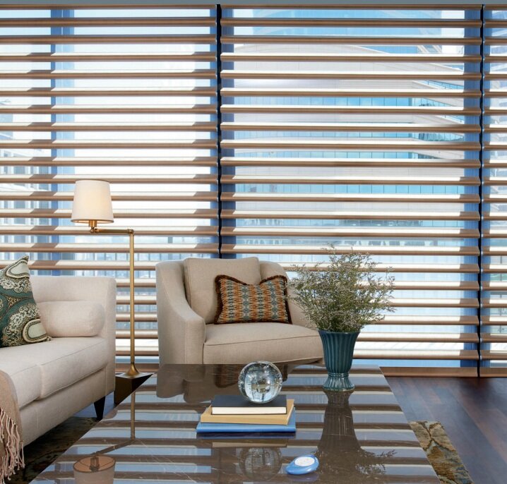 Hunter Douglas Pirouette Shades