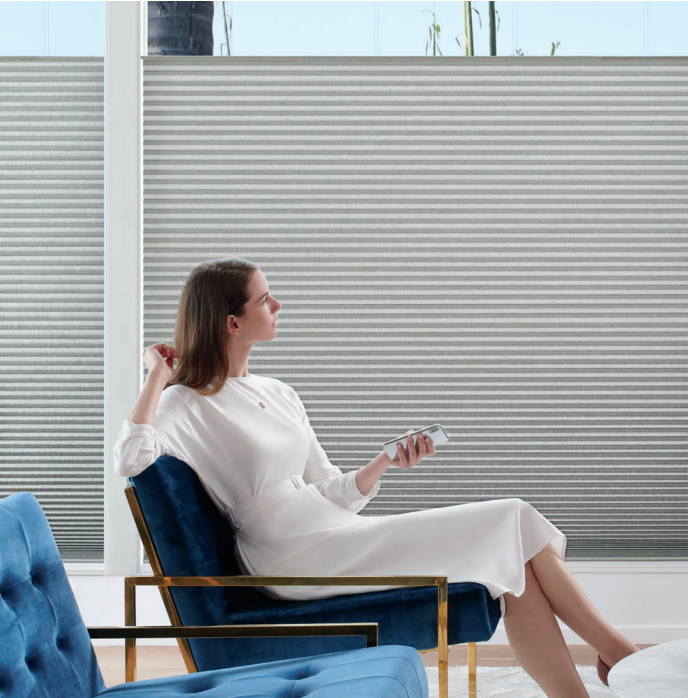 Motorized Window Shades
