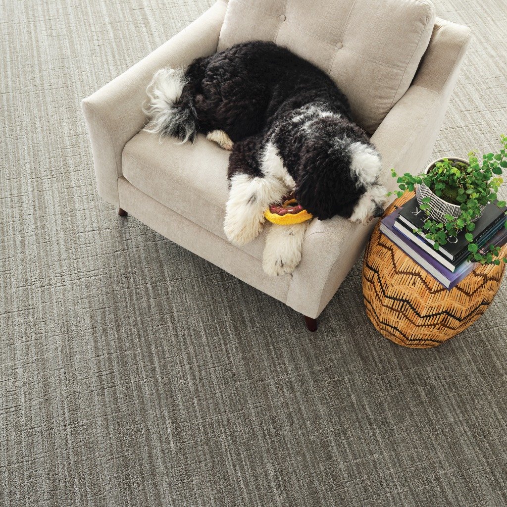 We get it - fur happens! 🐾
DW Select carpets are the paw-fect choice for pet owners. They're easy to clean, stain-resistant, and perfect for stairs!

Ready to learn more about DW Select Carpet? Contact us today +18052371400!
#PetFriendly #DWSelect #
