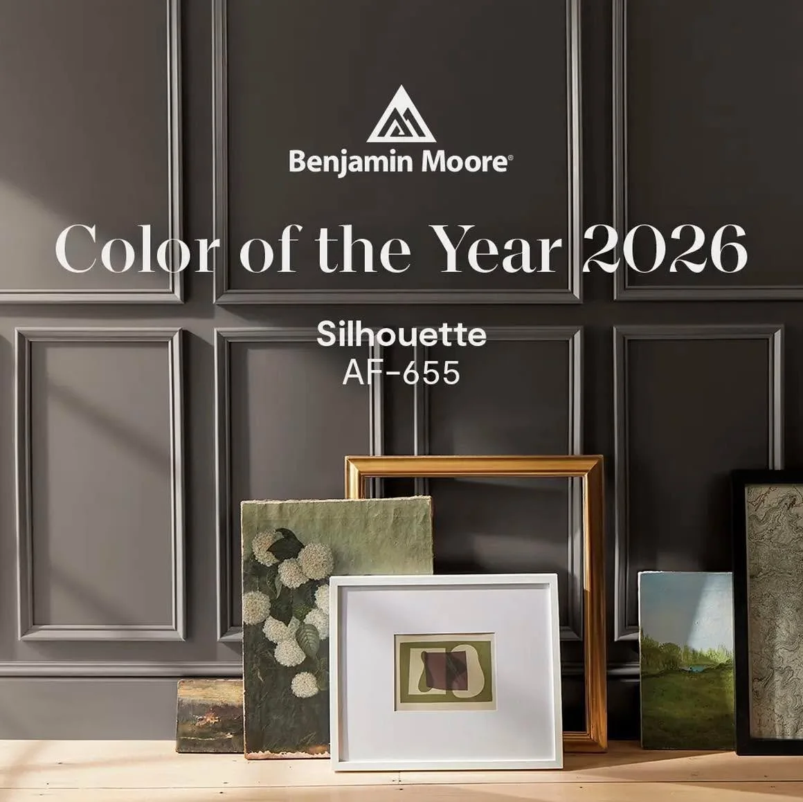 Your thoughts on Benjamin Moore&rsquo;s 2026 color of the year?