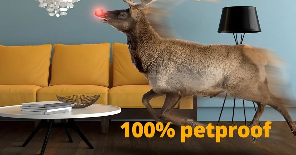 Rut-Roh! Did run run Rudolph run out of the rain, destroying your floors?
We can help you with that with our petproof, waterproof, dentproof, scratchproof, oops-proof flooring.
We'll be back in the showroom on Monday, the 29th to answer all your ques