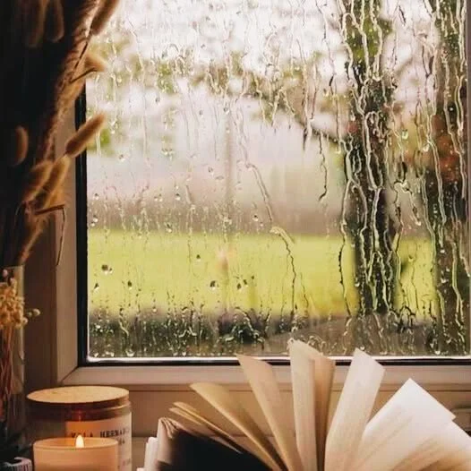 Question of the Week: Should You Install New Carpet When It's Raining?
The quick answer is No.  Consider this:
🌧️Most carpet jobs require moving the furniture out of the home, and most homes don't have enough dry space to move it to.
🌧️ Carrying th