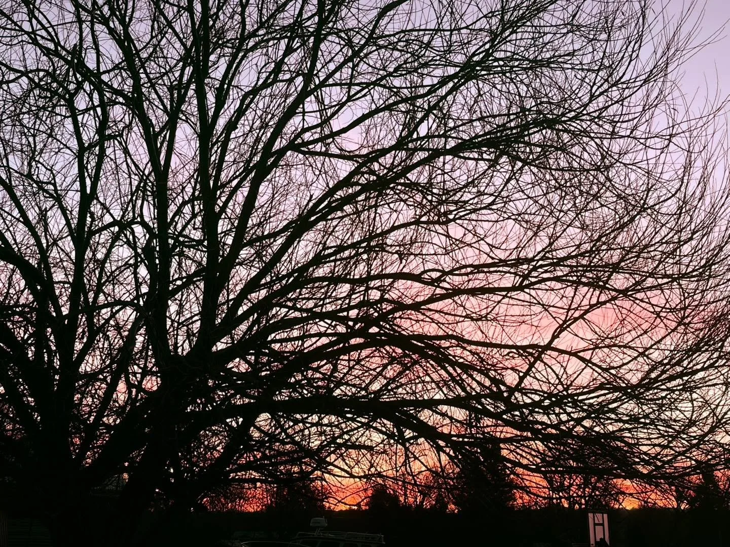 Sunday rising in full color ❤️ Enjoy your day!