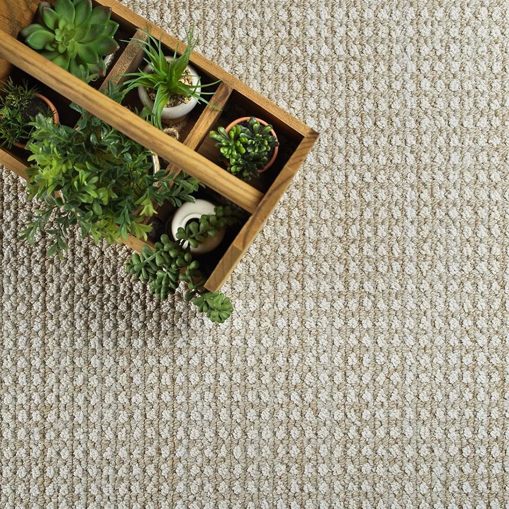 Ground your space in natural serenity. 🌿 Brunswick carpet provides a beautiful, textured foundation that effortlessly harmonizes with organic elements to create a calm and inviting atmosphere. 🏡 
Brunswick 8129 Natural Glow

#NaturalVibes #LuxuryCa