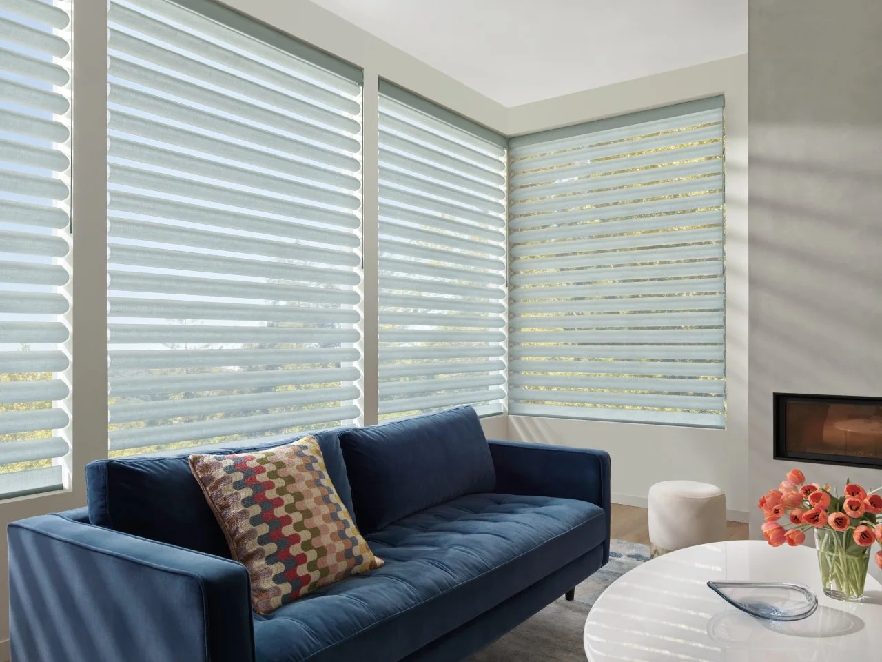 Light, redefined.
Pirouette&reg; Window Shadings bring softness and sophistication to every room.
Call us today at (805) 237-1400 to get started.