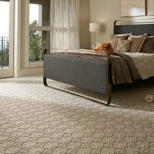 Style meets Savings with softness underfoot for every room in your home.
Our entire Karastan carpet collection is on sale, featuring the family-friendly SmartStrand, the luxurious Kashmere, and wool carpeting.
To see and sample, visit our showroom, o