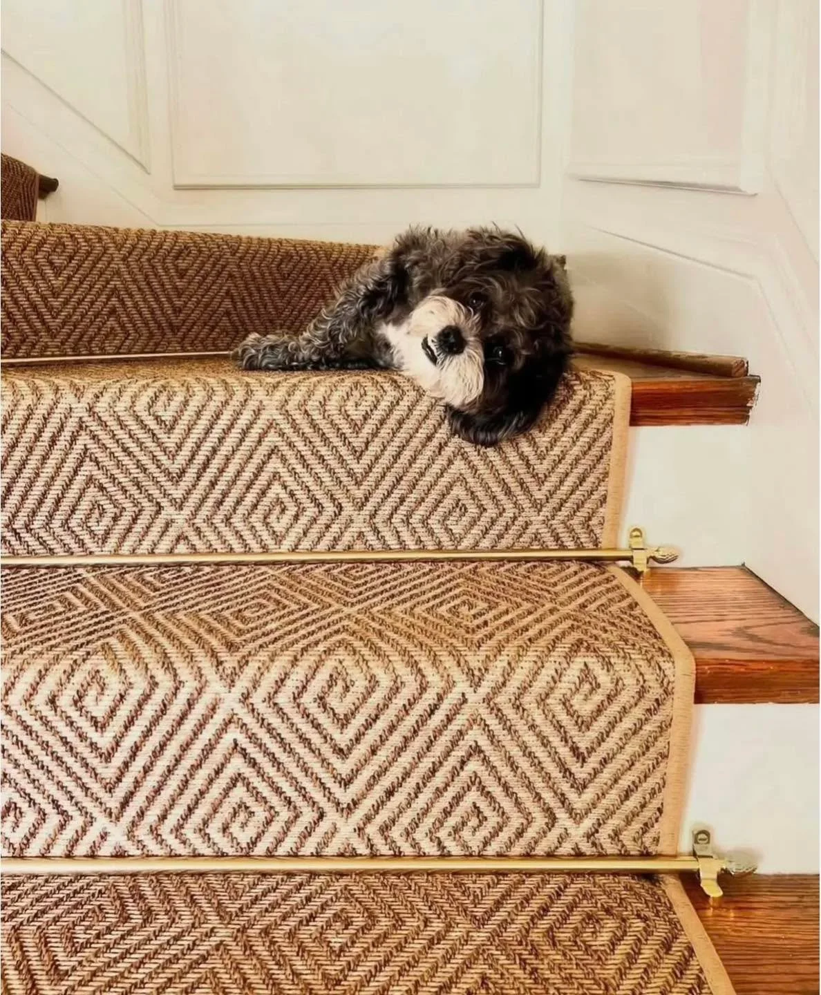 How we feel saying goodnight to Sunday, &ldquo;Do we have to?&rdquo;
.
If you&rsquo;re admiring the carpet and stair rods, stop by our showroom to see samples.