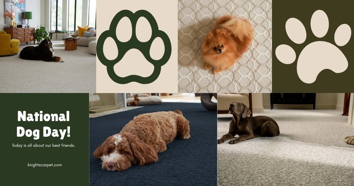 Hope you like dogs, because it's National Dog Day! 🐾
And here we are in the 'Dog Days' of Summer, the hottest time of year, with these precious pups enjoying a cool down on our pet-friendly carpets.
Well, hot dog! 🤣🐾❤
.
#dogday #PetFriendlyCarpet 