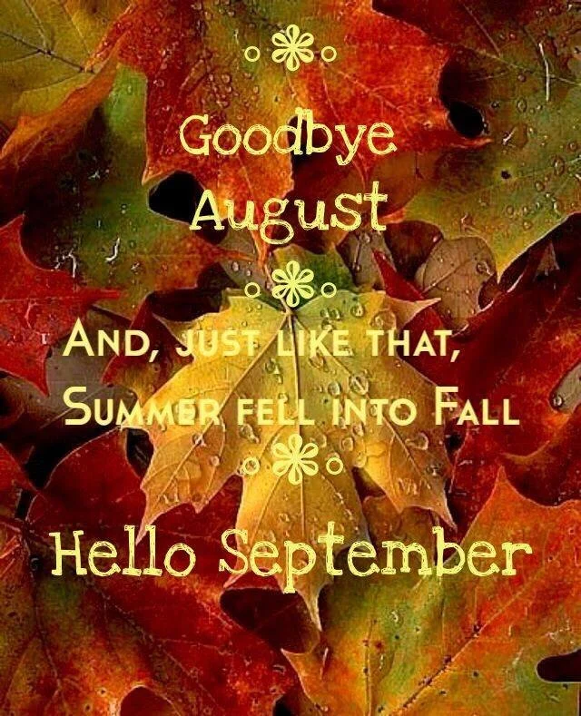 As we say goodbye to August, we thank you all for recommending Knight's to your friends, family, and neighbors.  It's the little kindnesses we hear about in our day-to-day business, like, "I love my neighbor's floor," that we carry with us 