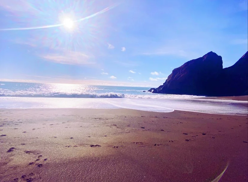 playing plant frequency tunes for all my lil guys and drinking mushroom tea with a side of THIS BEACH