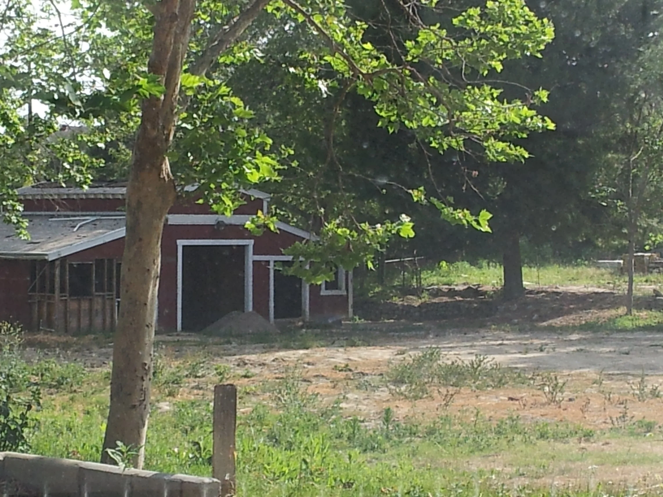 20130504_164036.jpg