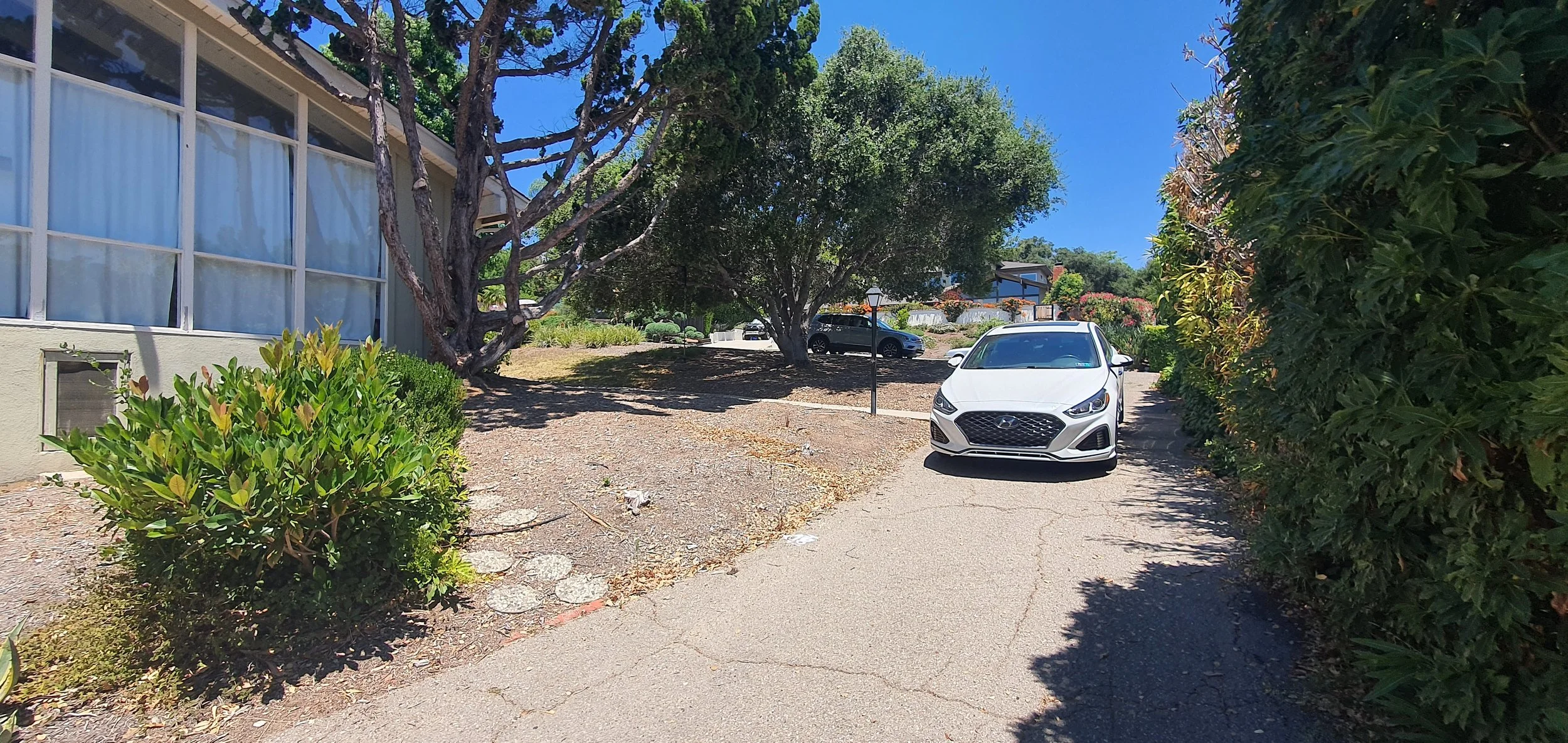 20220624_121833.jpg