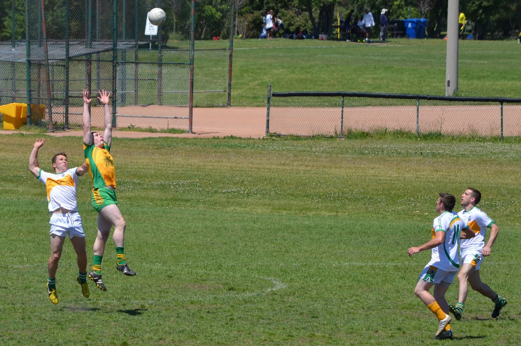 Toronto Gaels Gaelic Football 2014 GAA - 63