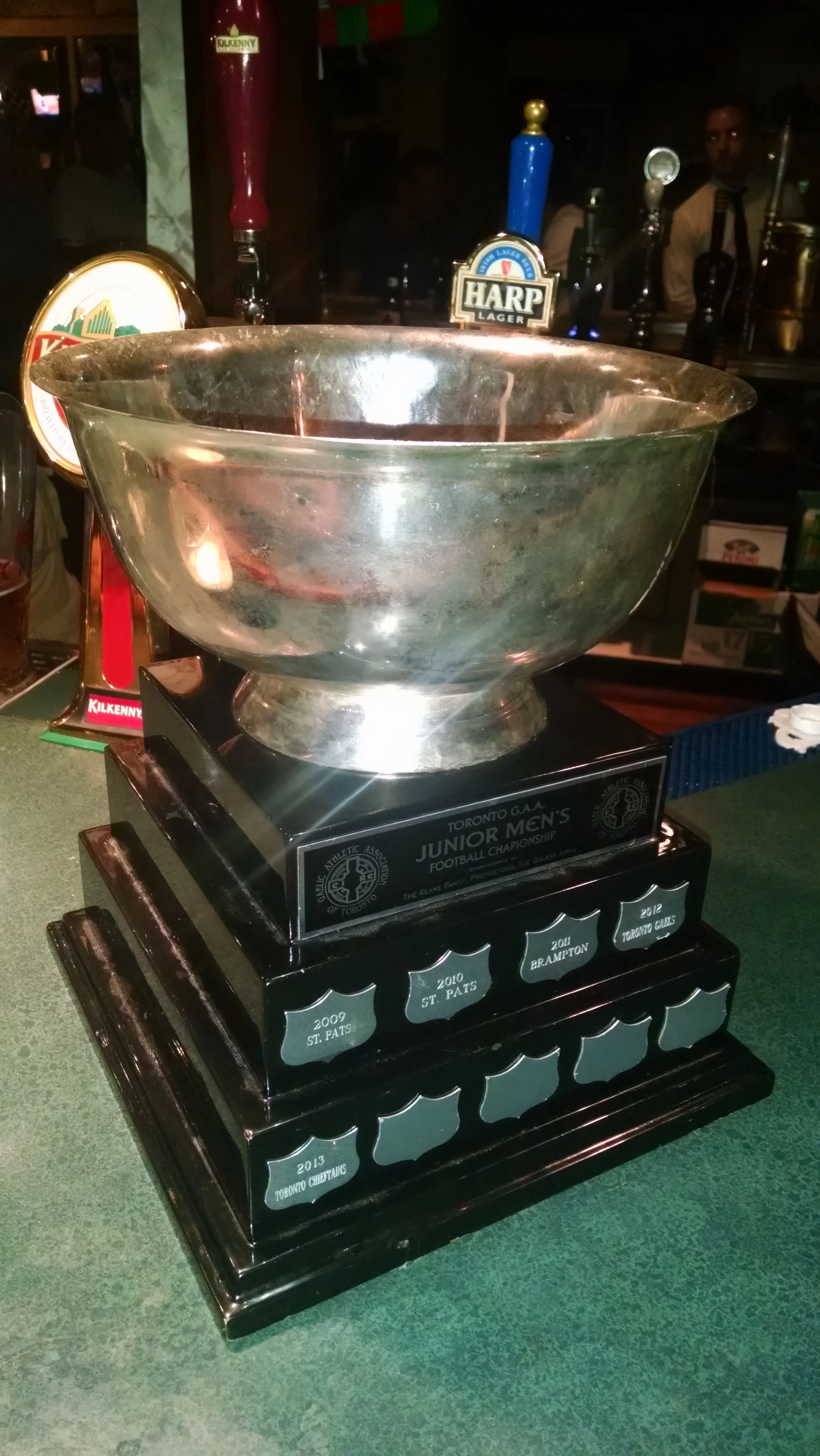 Toronto Gaels 2015 Intermediate Champions 11.jpg