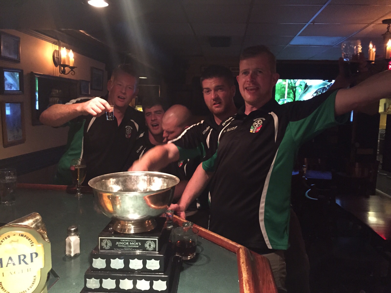 Toronto Gaels 2015 Intermediate Champions 21.jpg