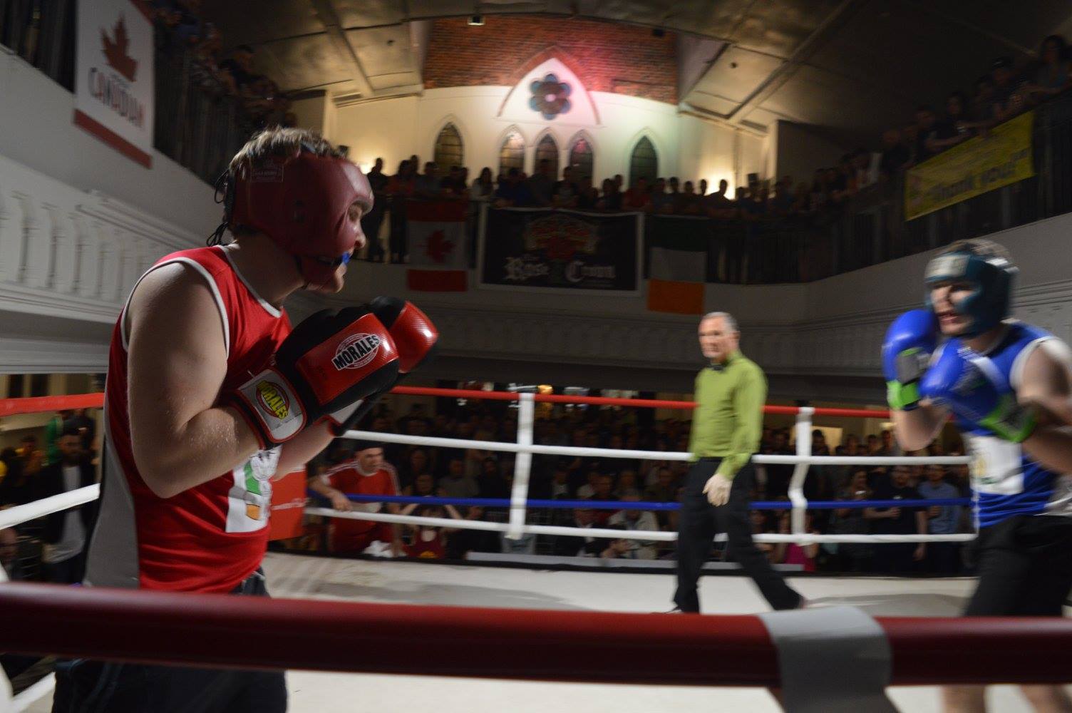 White Collar Boxing 3.jpg