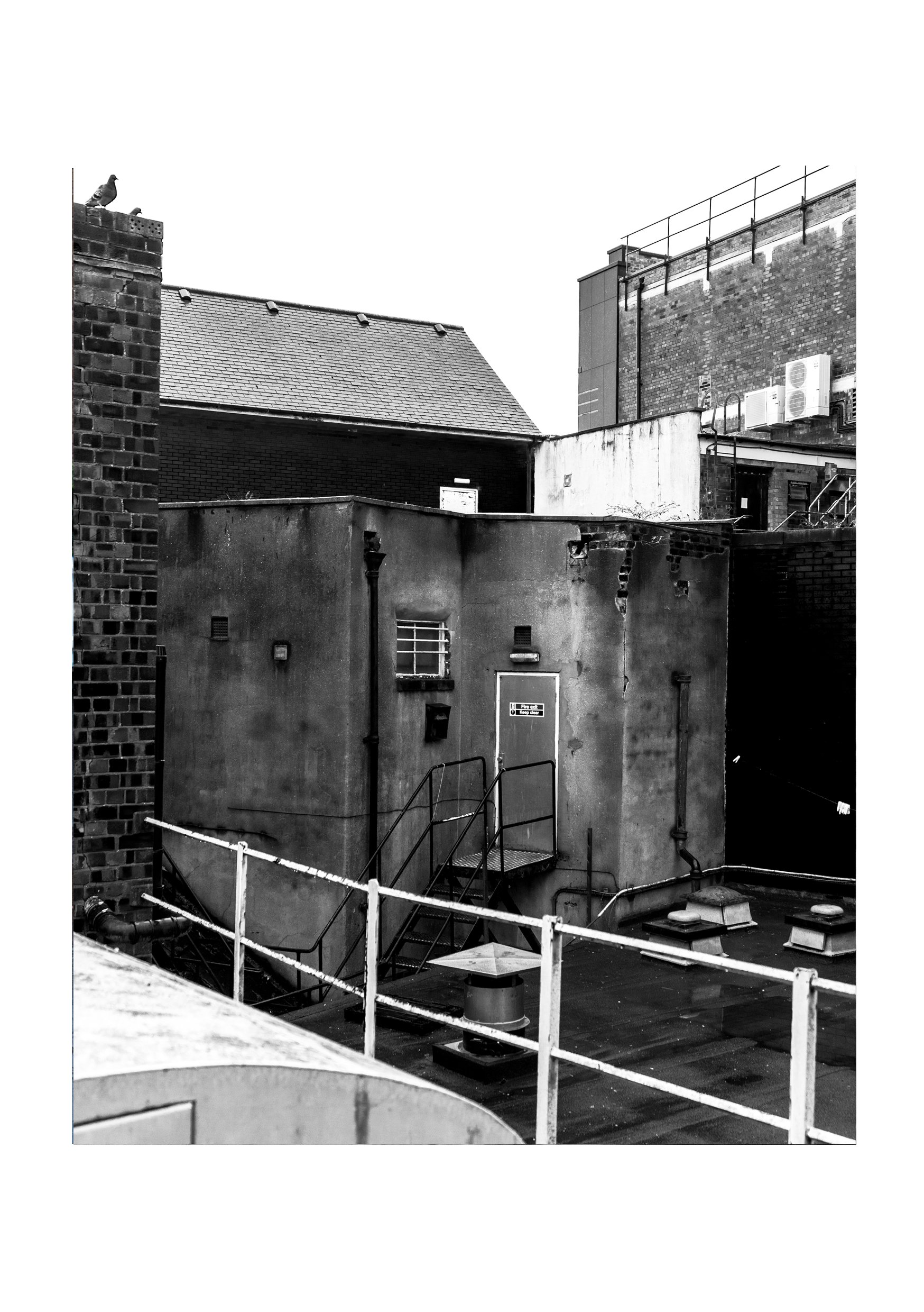 website3.jpg