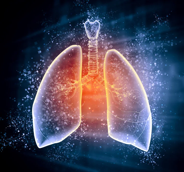 Lungs.jpg