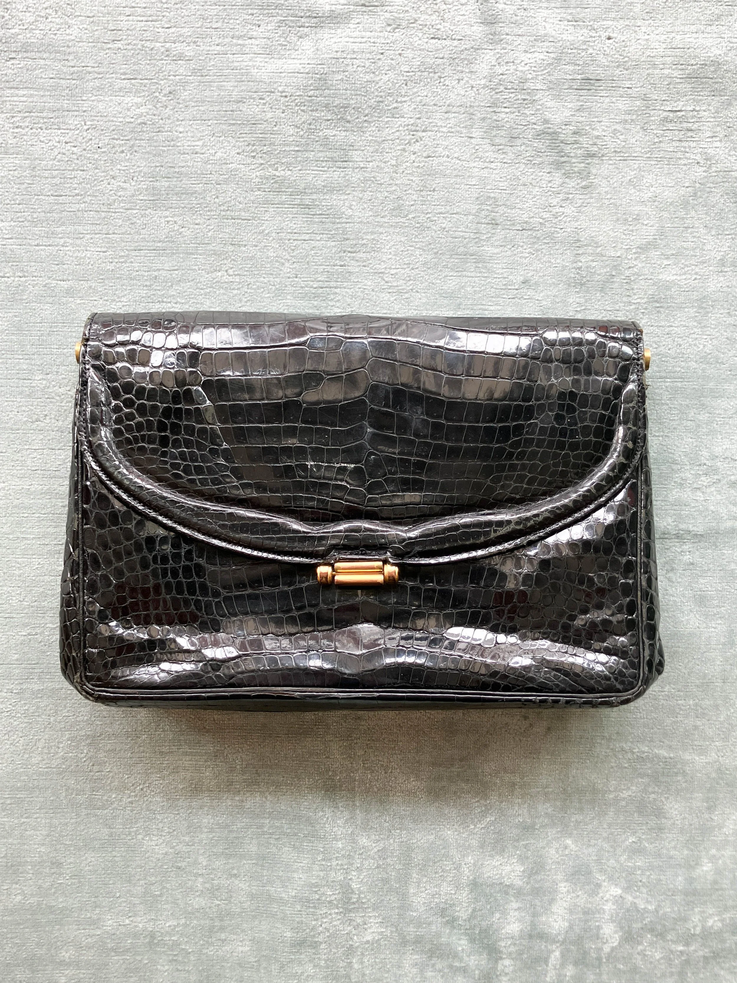 reptile clutch (3 of 4).jpg