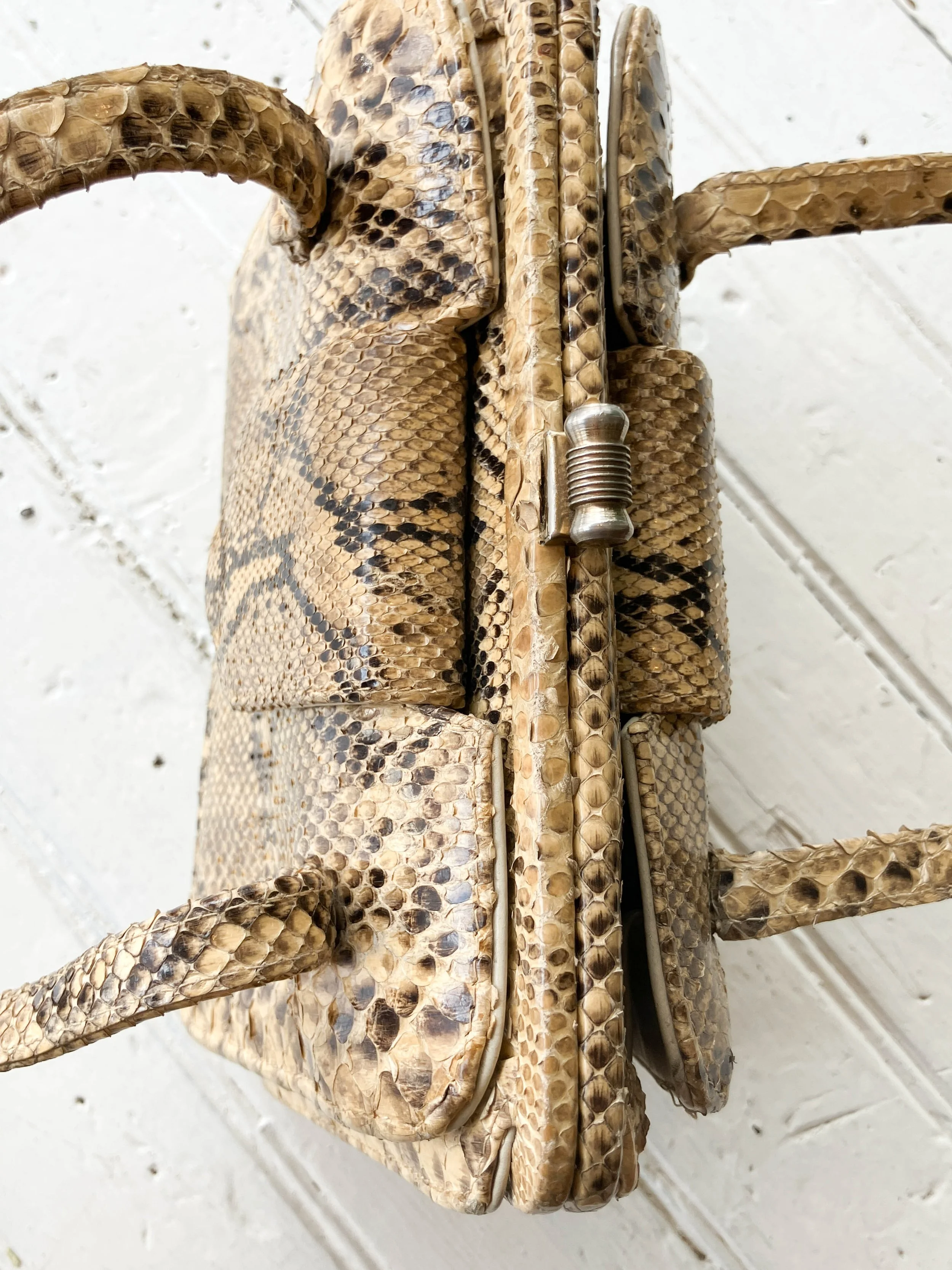 snakeskin bag (2 of 5).jpg