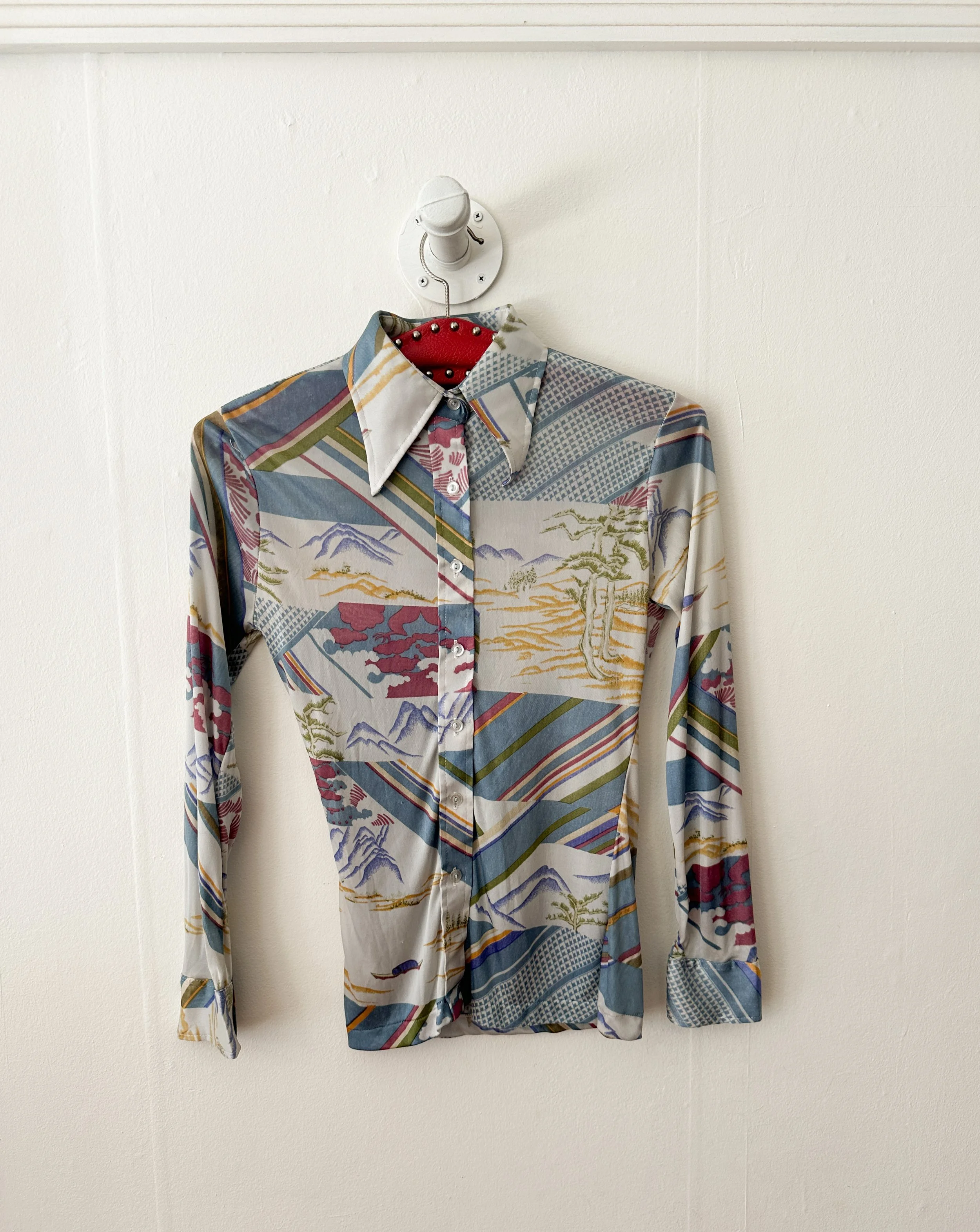 joshua tree shirt (1 of 2).jpg