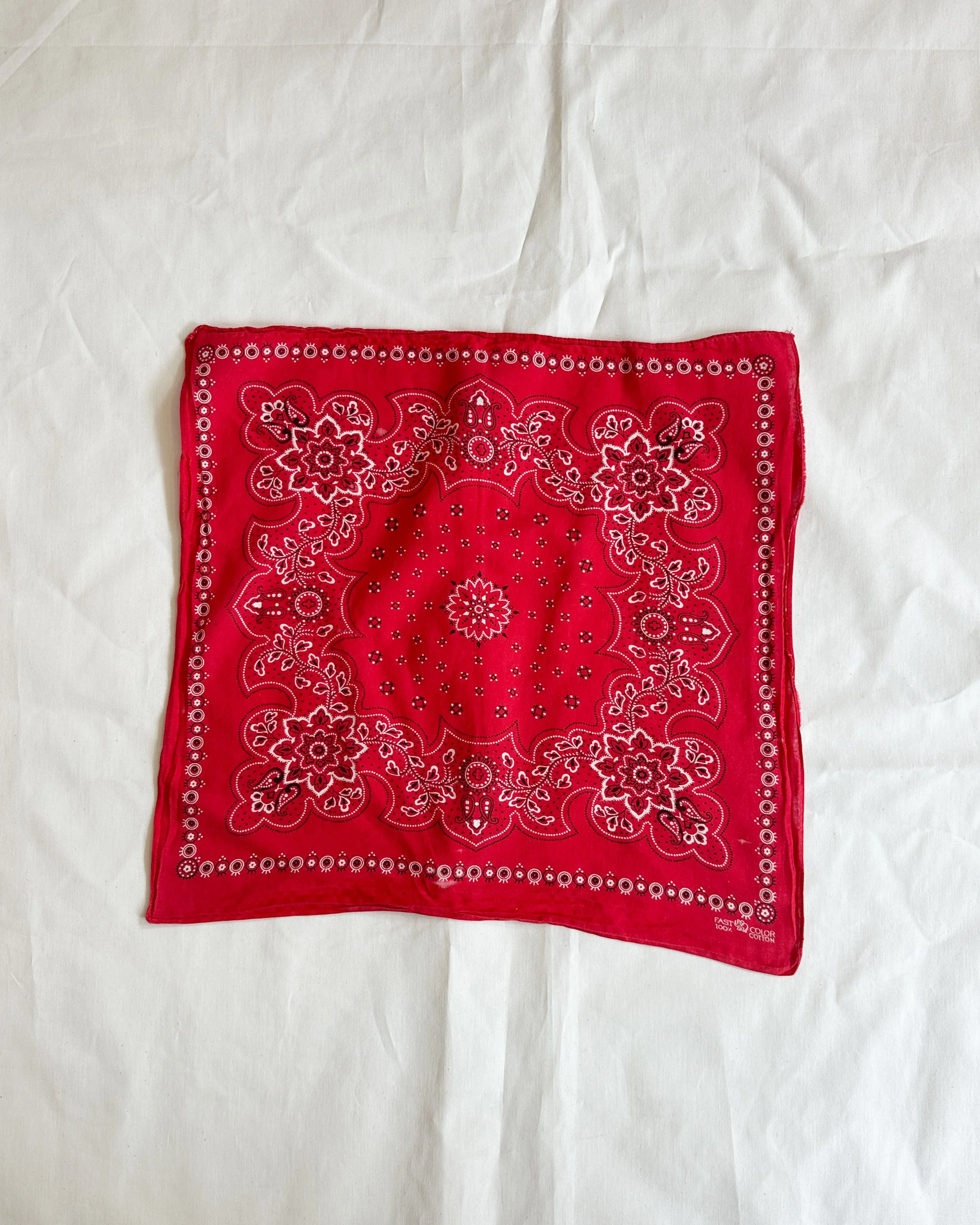 bandanas (3 of 11).jpg