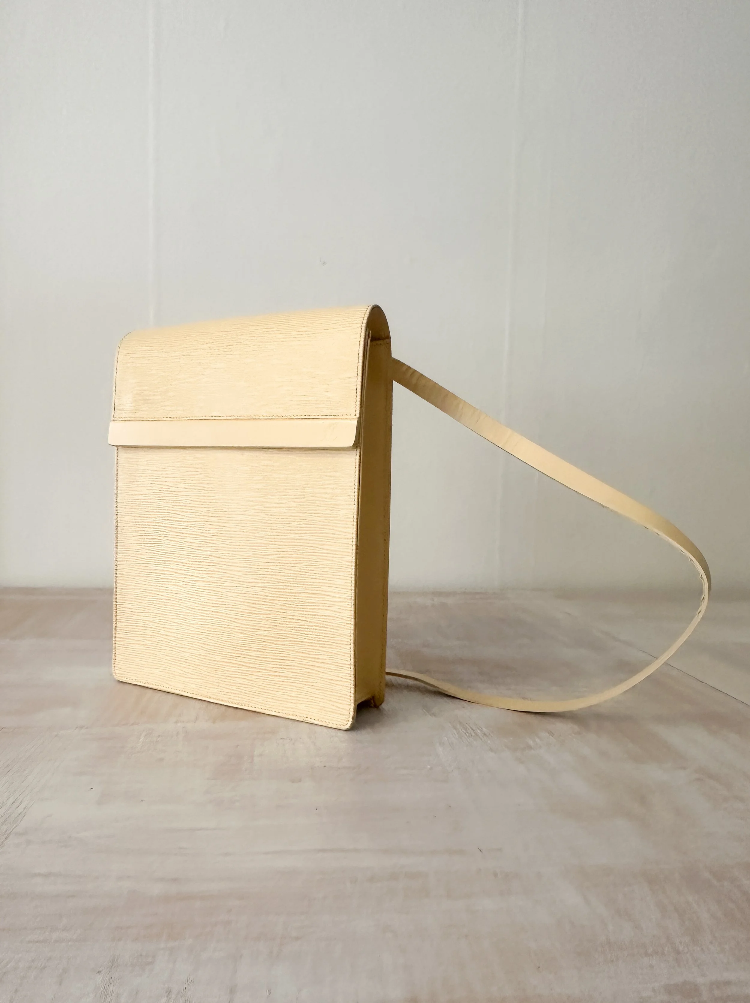 lv bag (2 of 7).jpg