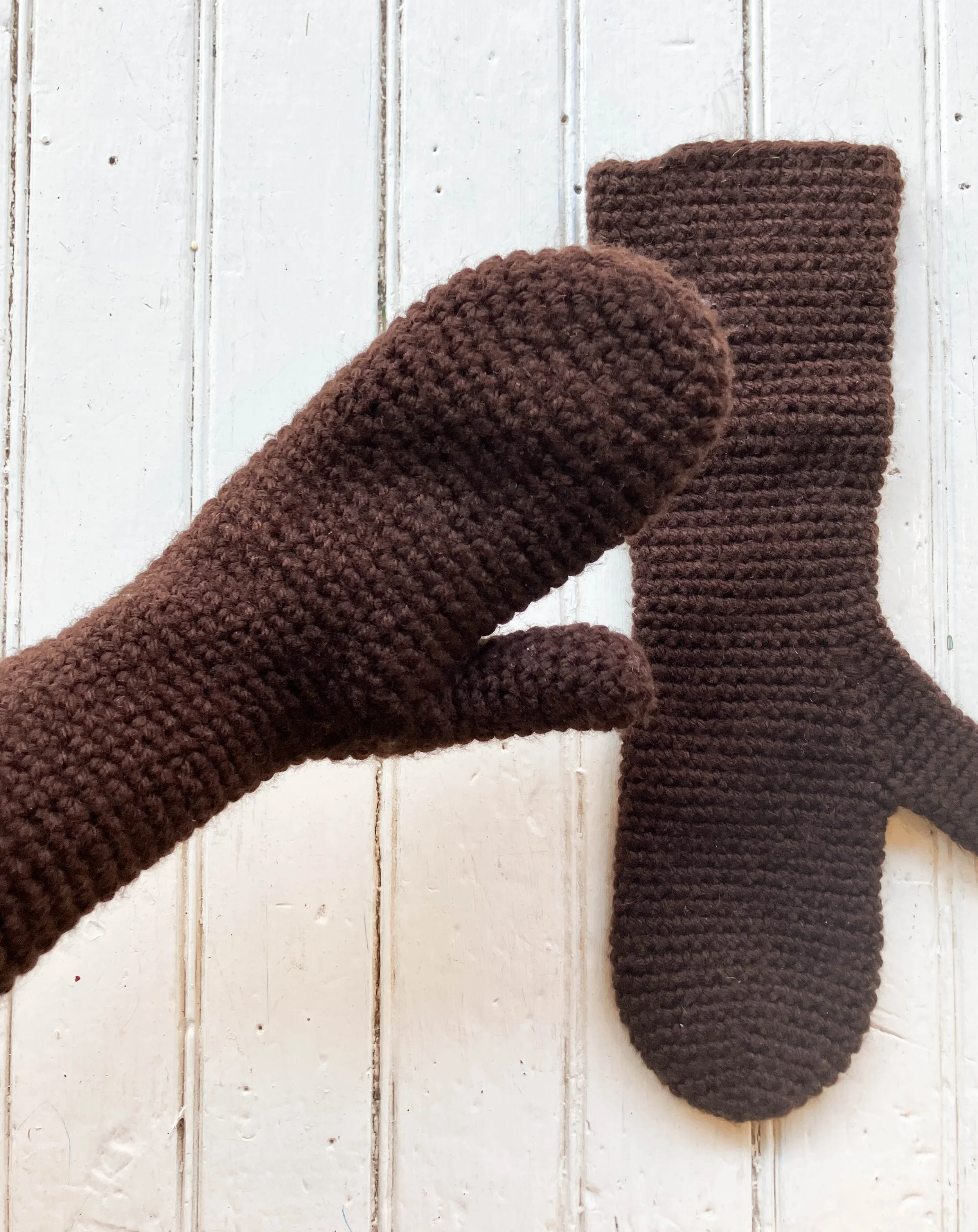 brown mittens (3 of 3).jpg