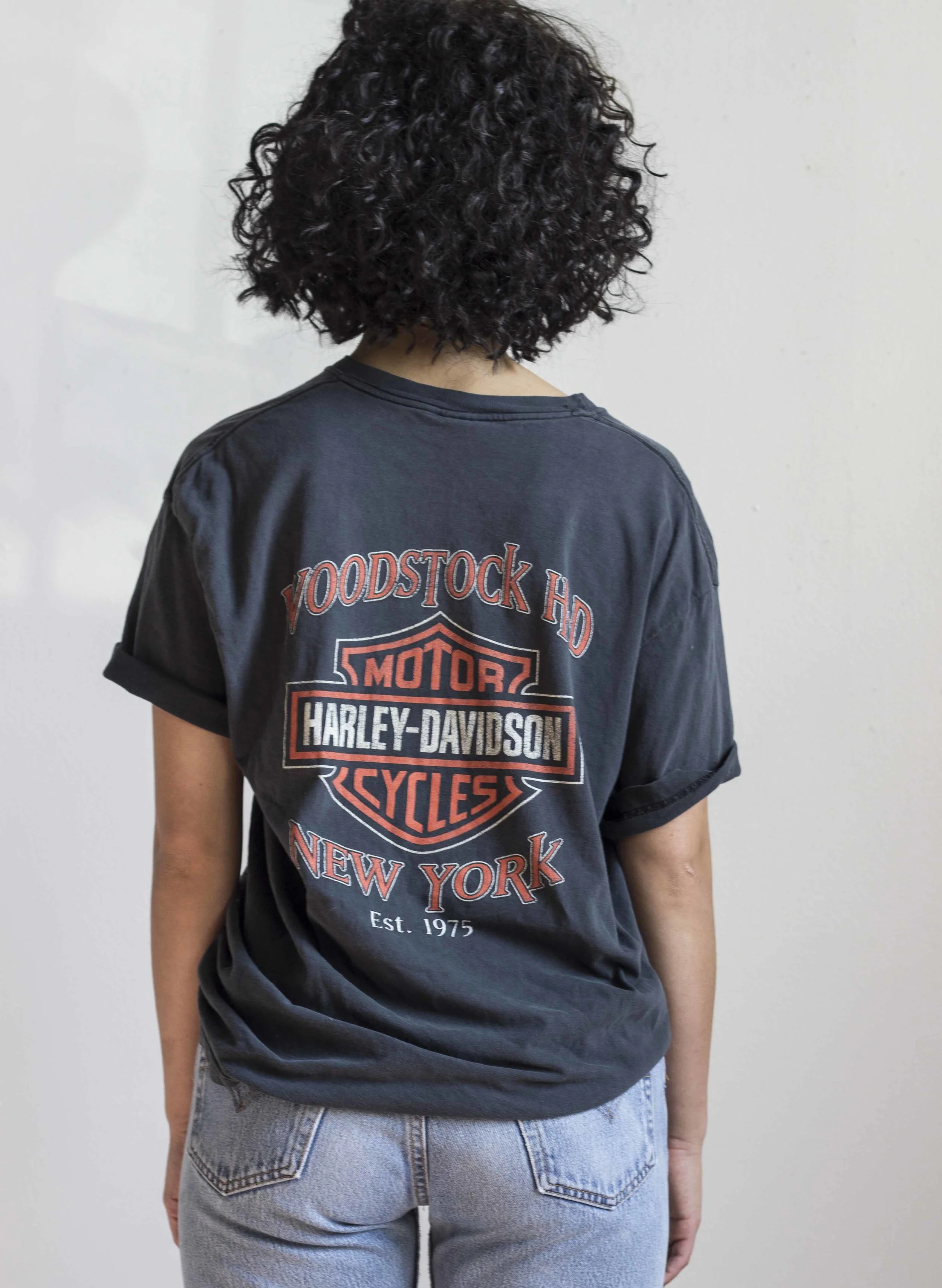 1980s Worn-in Harley Davidson Woodstock Tee