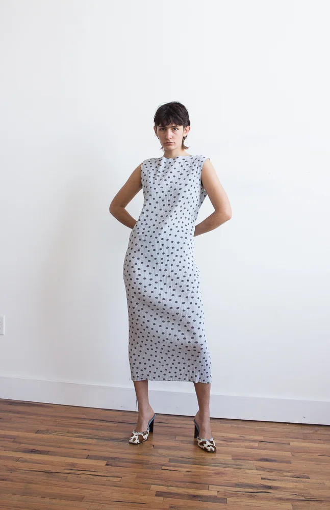 polka dot dress (2 of 9).jpg