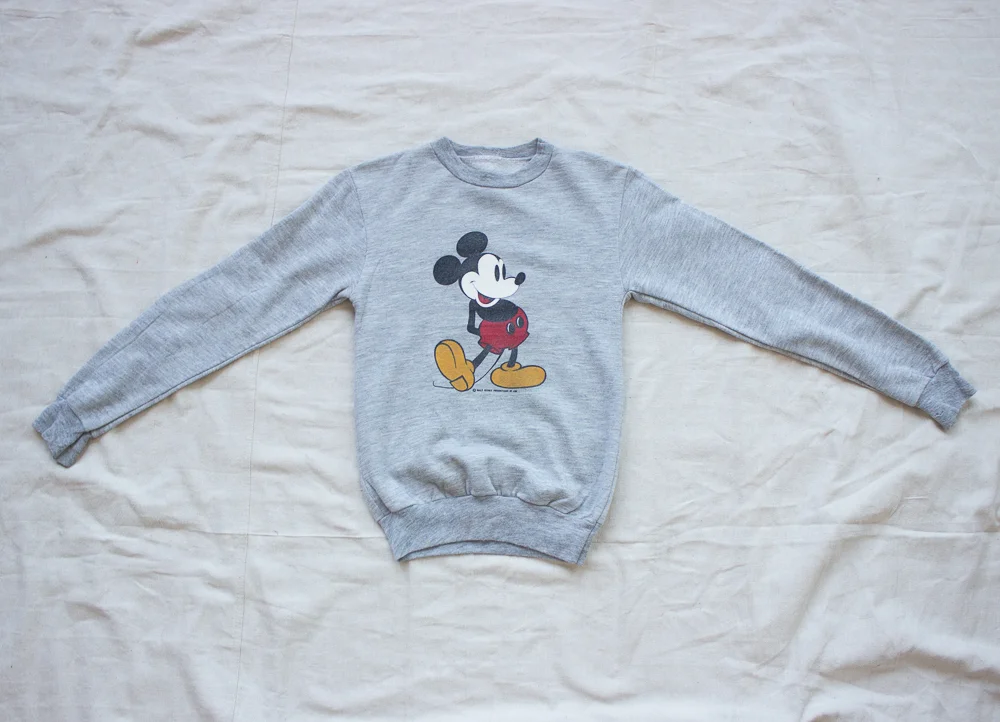 mickey mouse (1 of 4).jpg