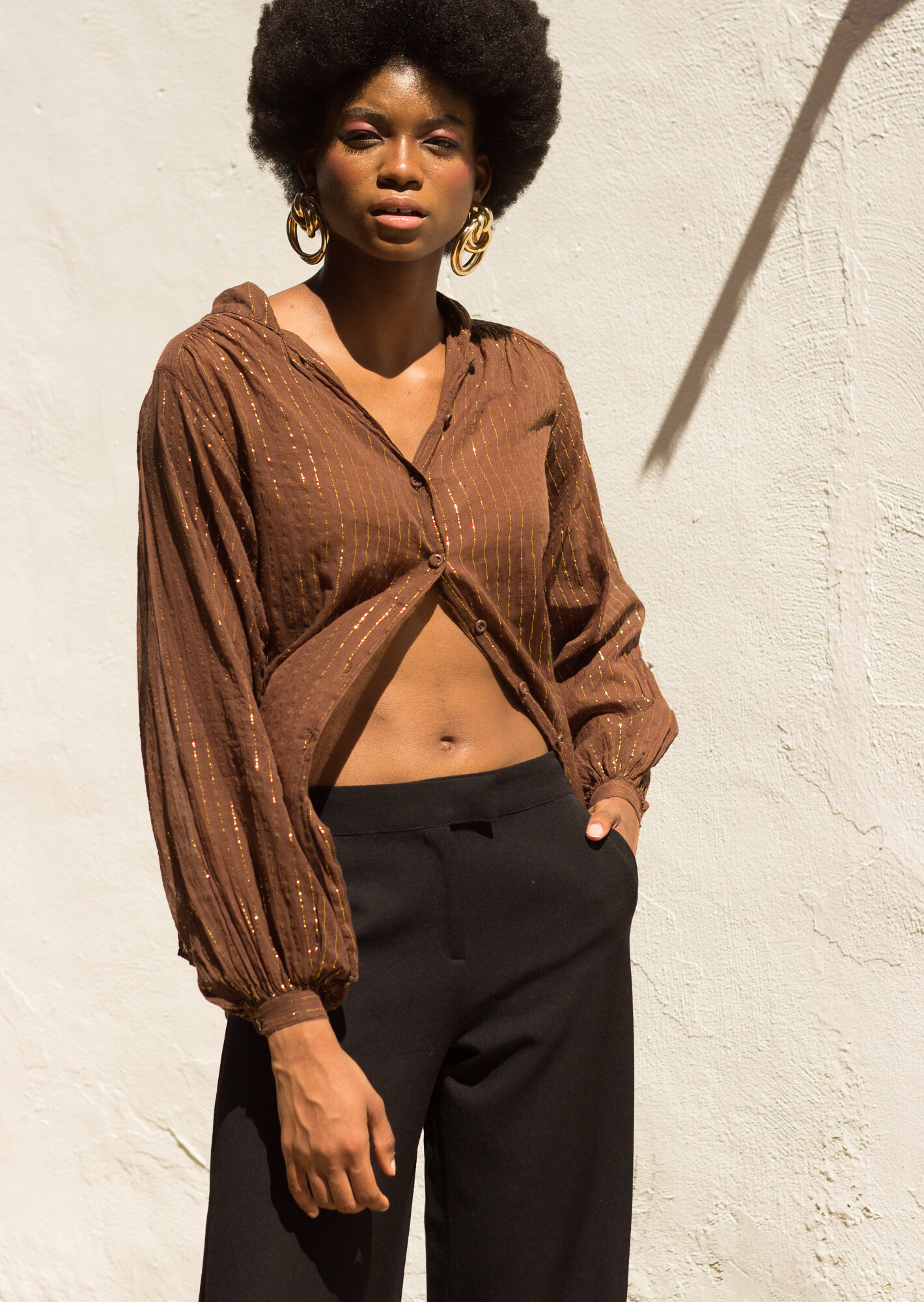 1970s Chocolate and Gold Lurex Striped Gauze Top