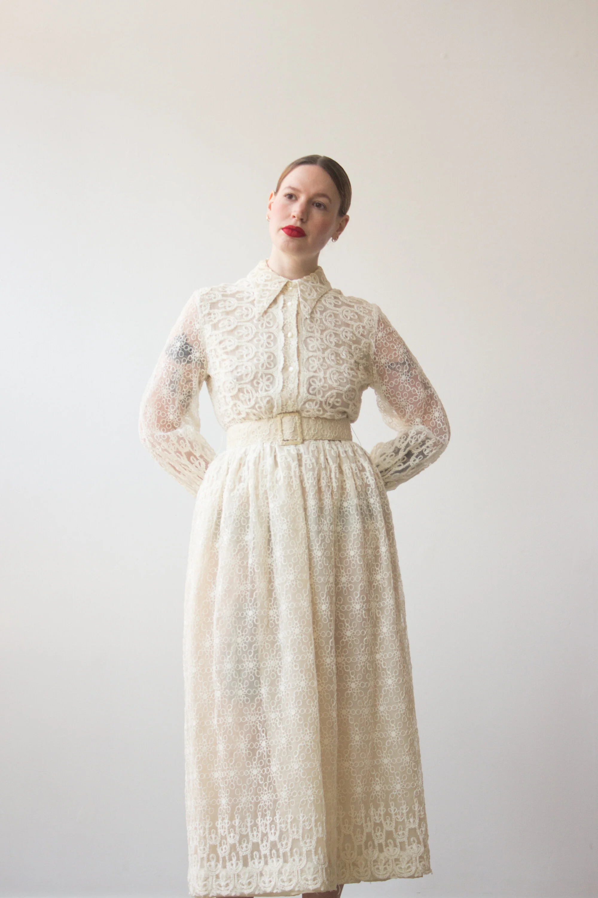1960s Embroidered Organza Garden Party Dress  Wayward Collection