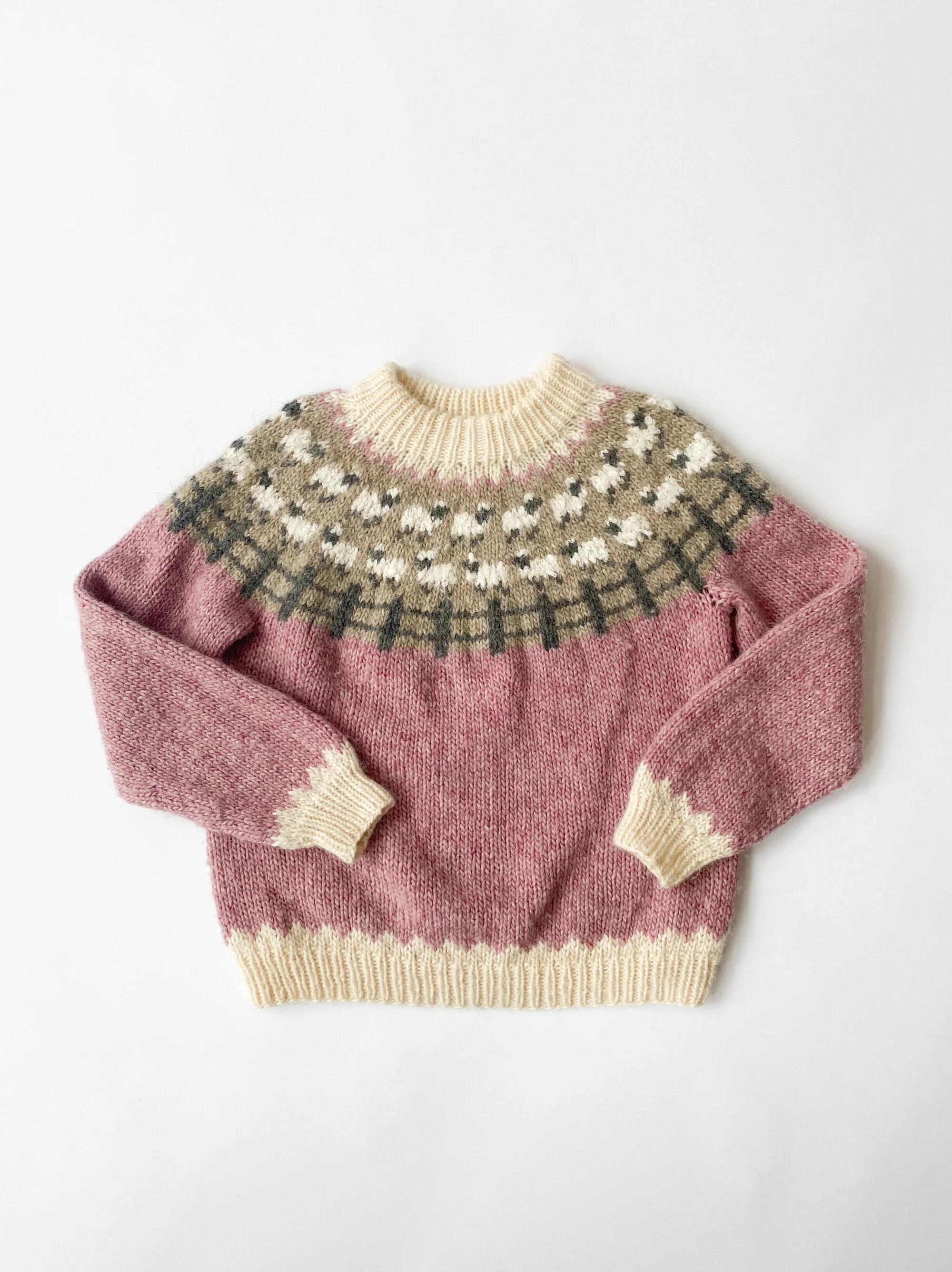 sheep (1 of 5).jpg