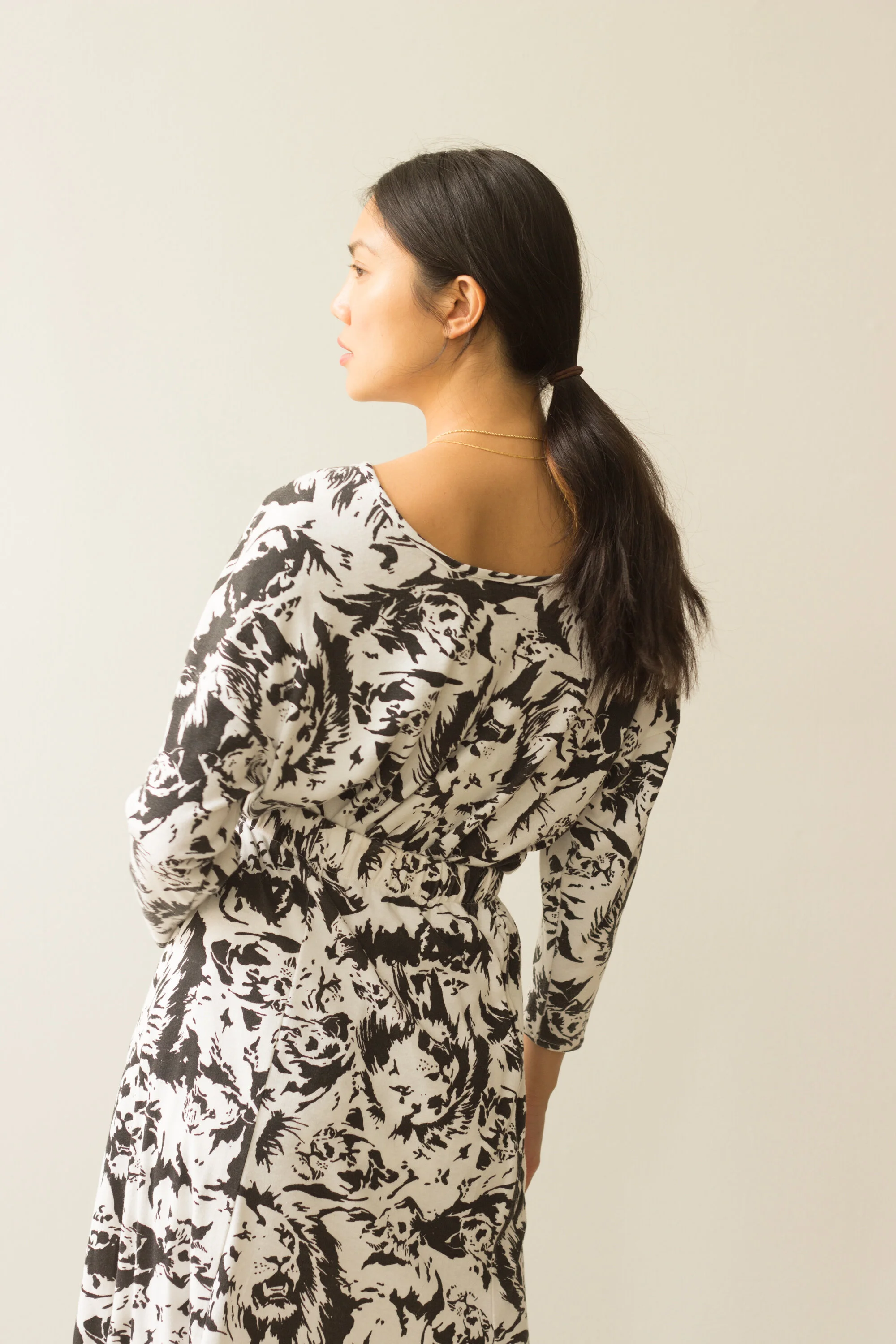 lion set (5 of 5).jpg