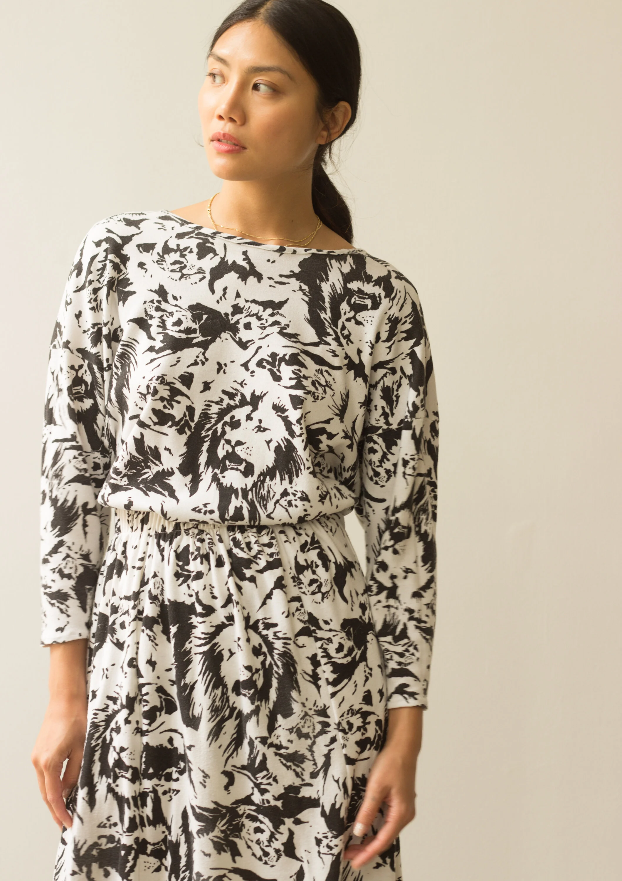 lion set (4 of 5).jpg