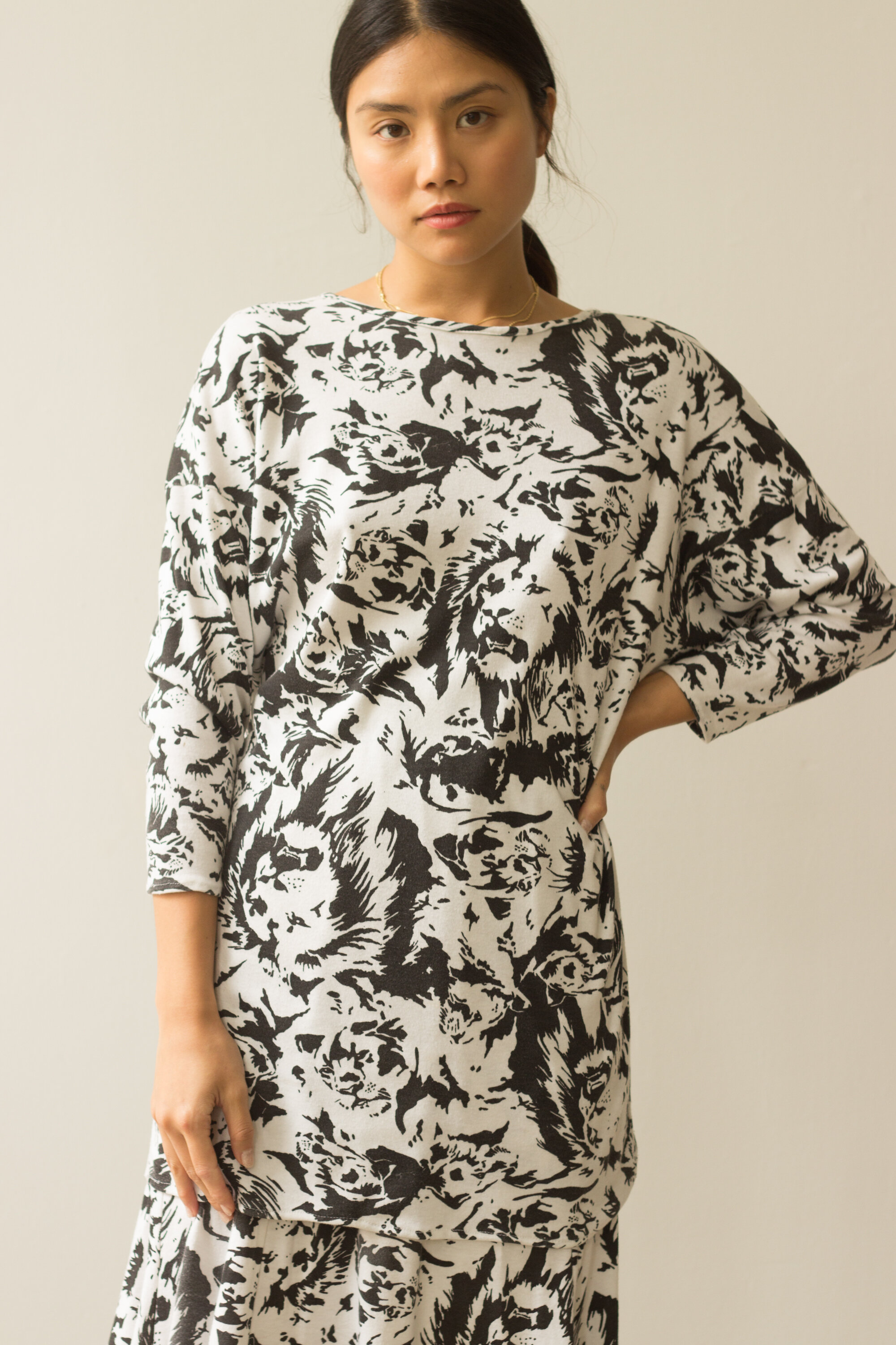 lion set (3 of 5).jpg