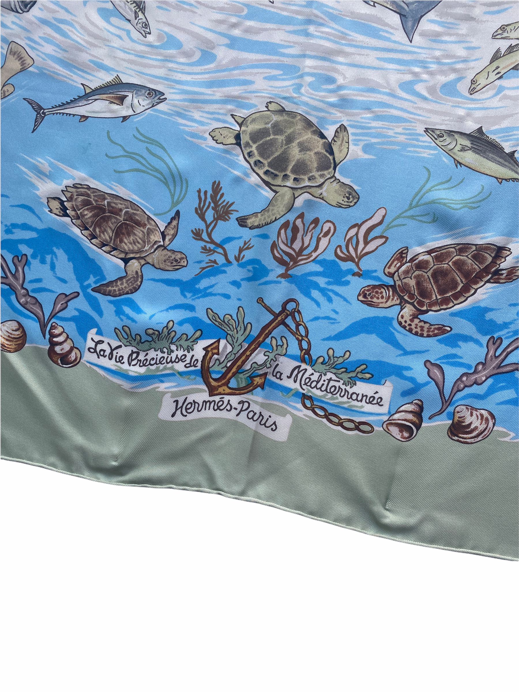 B880E179-0E4B-480F-81F1-37BAD3D472C3