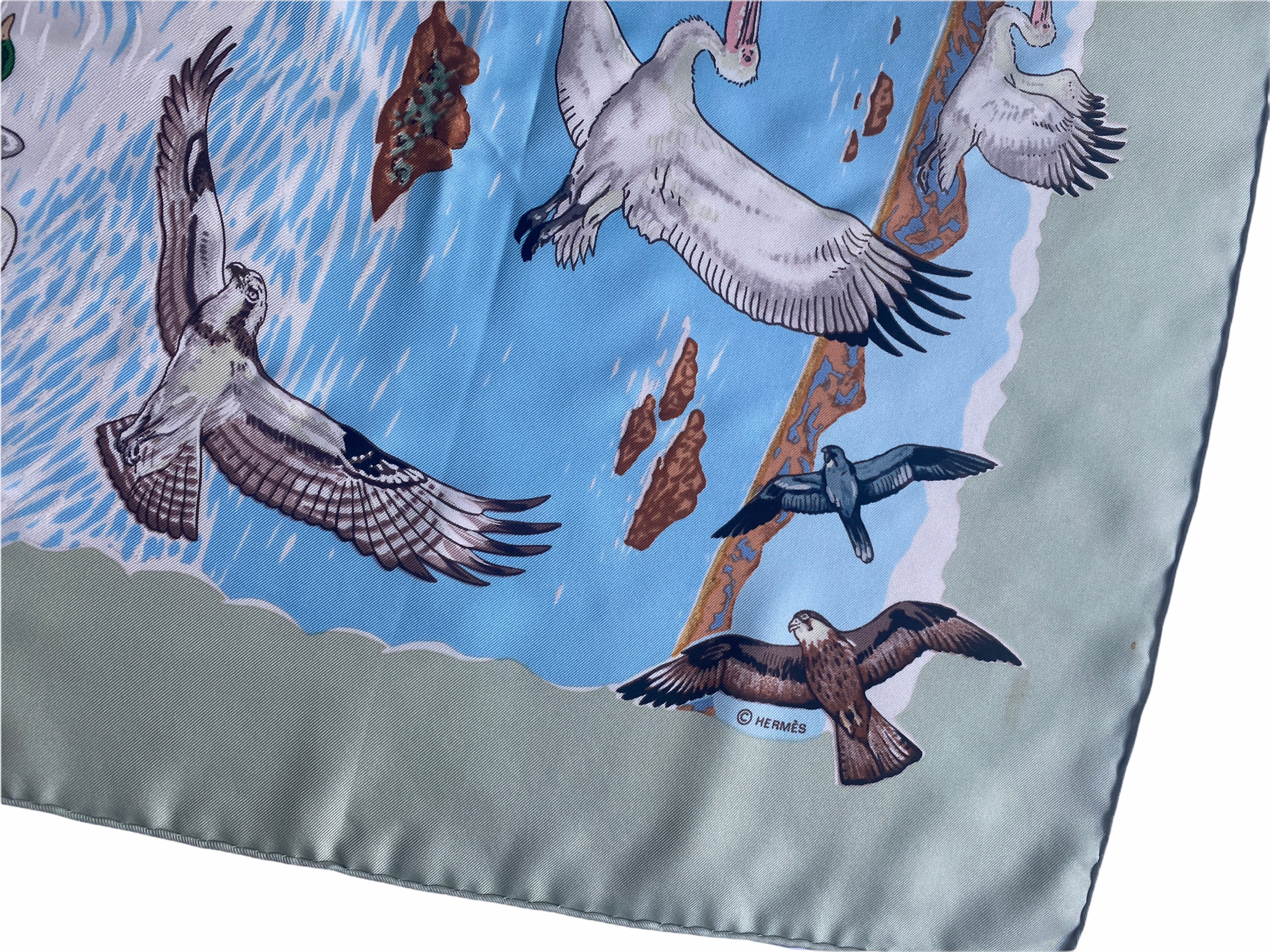 F45750C4-C82A-46A6-91B8-0A6BF0EFF4E5