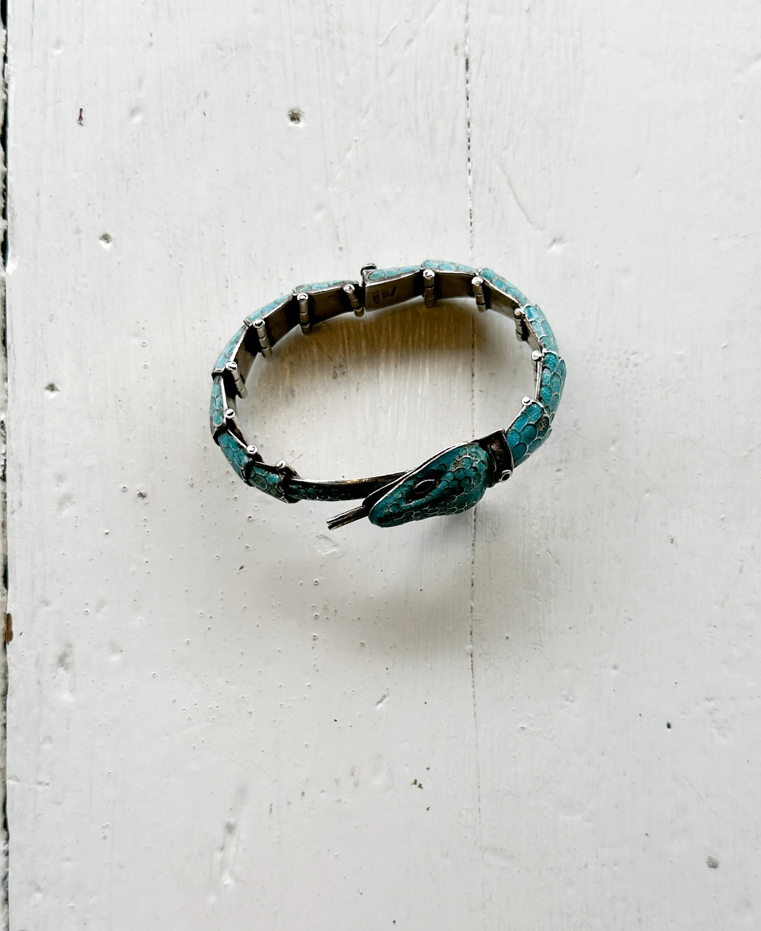 silver snake (1 of 7).jpg
