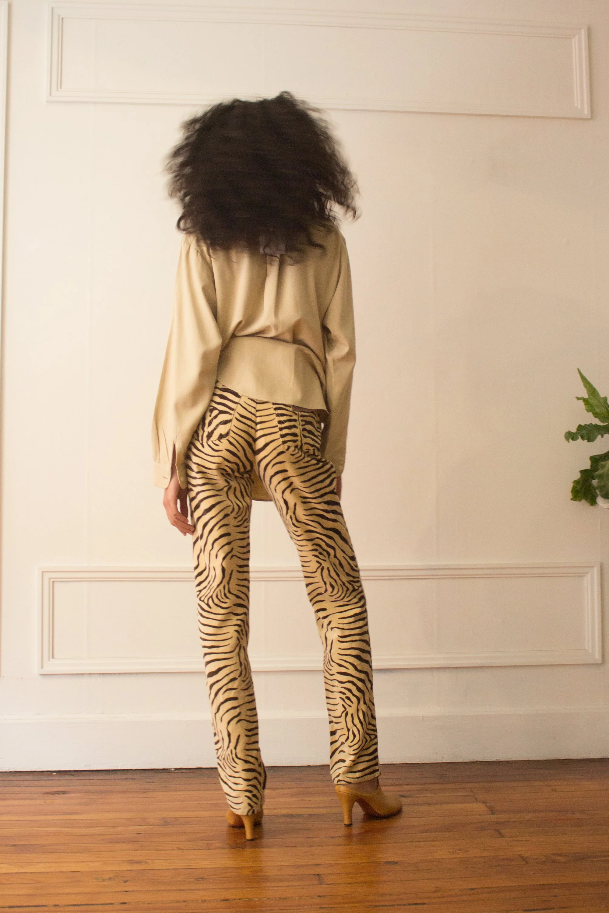 zebra (4 of 4).jpg