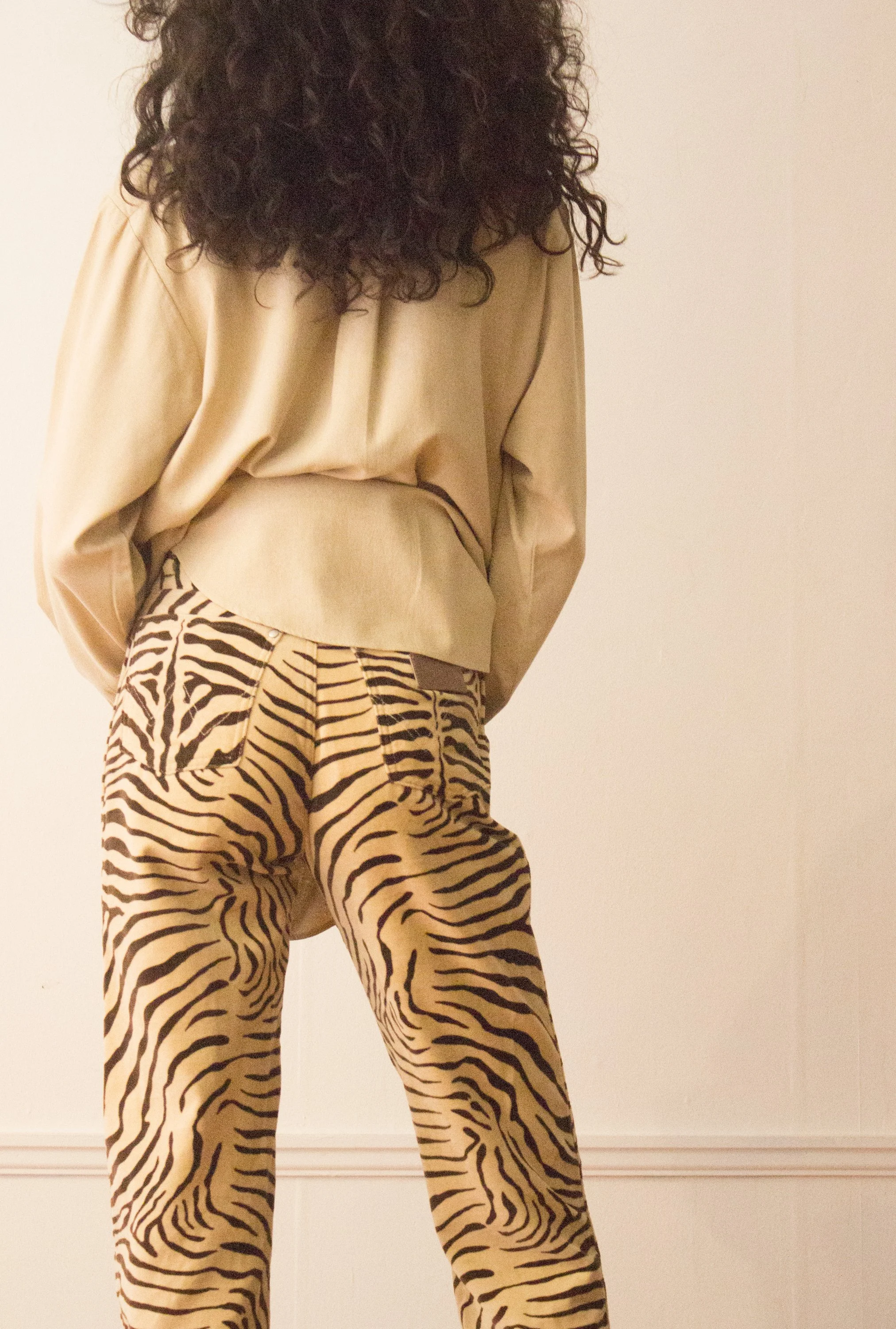 zebra (3 of 4).jpg